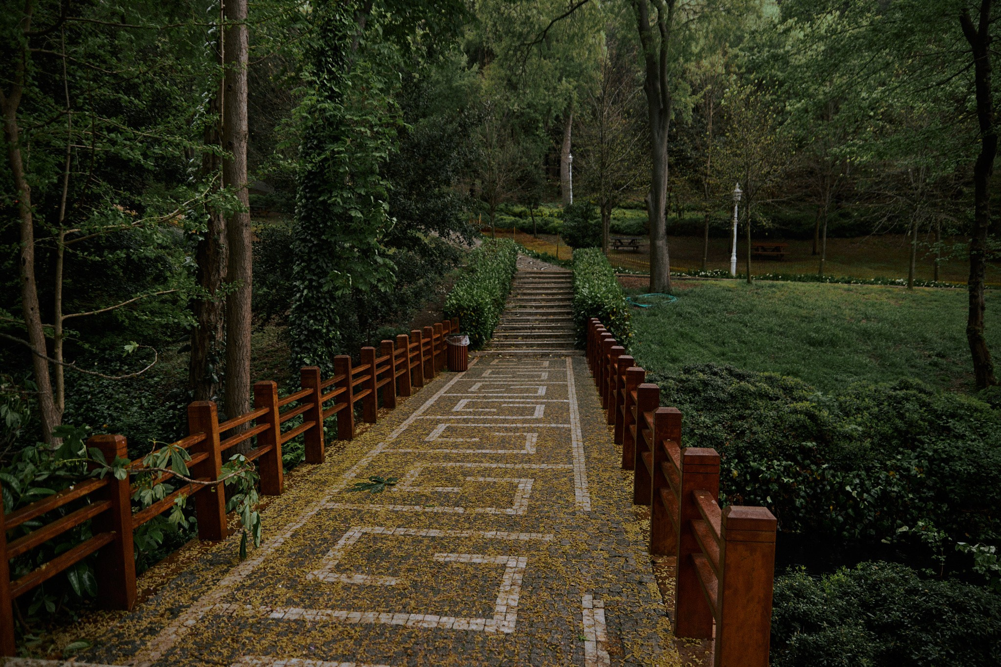 Улица горизонтальная. Jorgis — фотограф в Хургаде / обучение фотографии