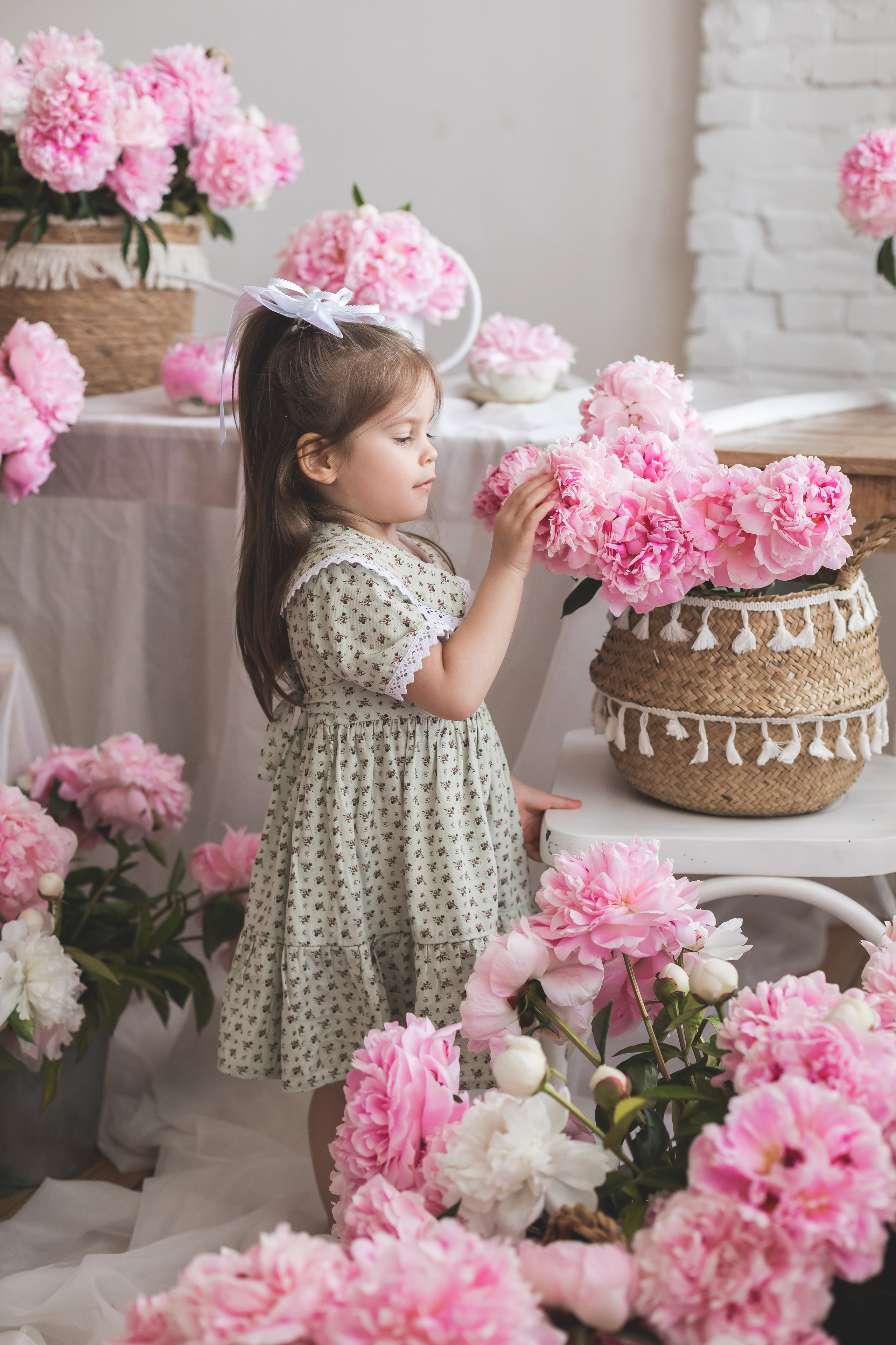 Пионы в студии. Семейный и детский фотограф Краснодар Валерия Власенко