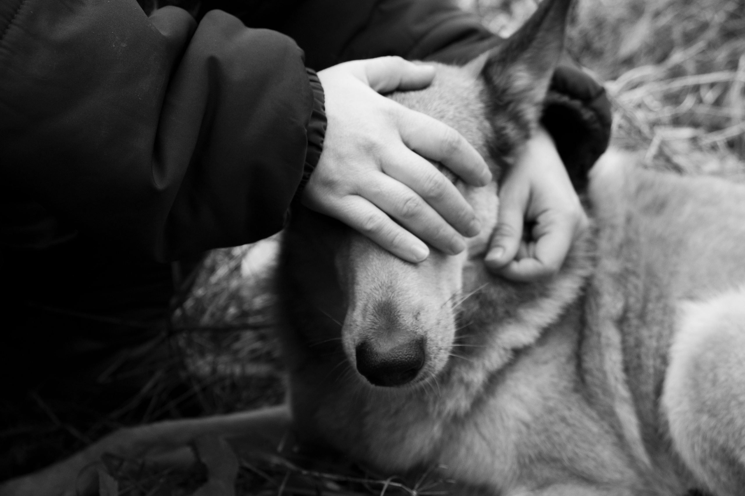 Репортаж. Фотограф Светлана Амирханова