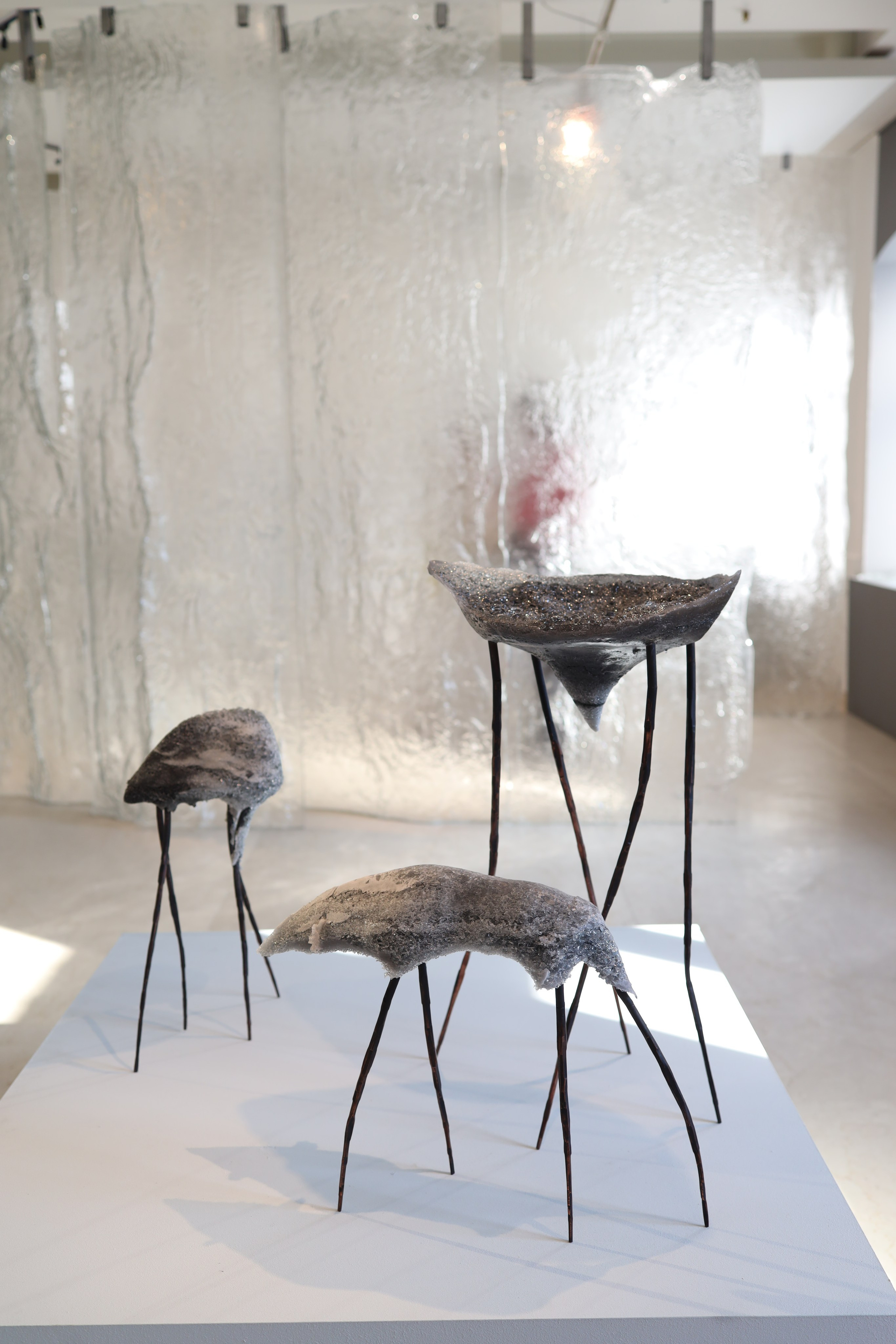 Выставка Степени прозрачности. Фотосессии и репортаж — Фотограф в Москве — Рина Серёгина