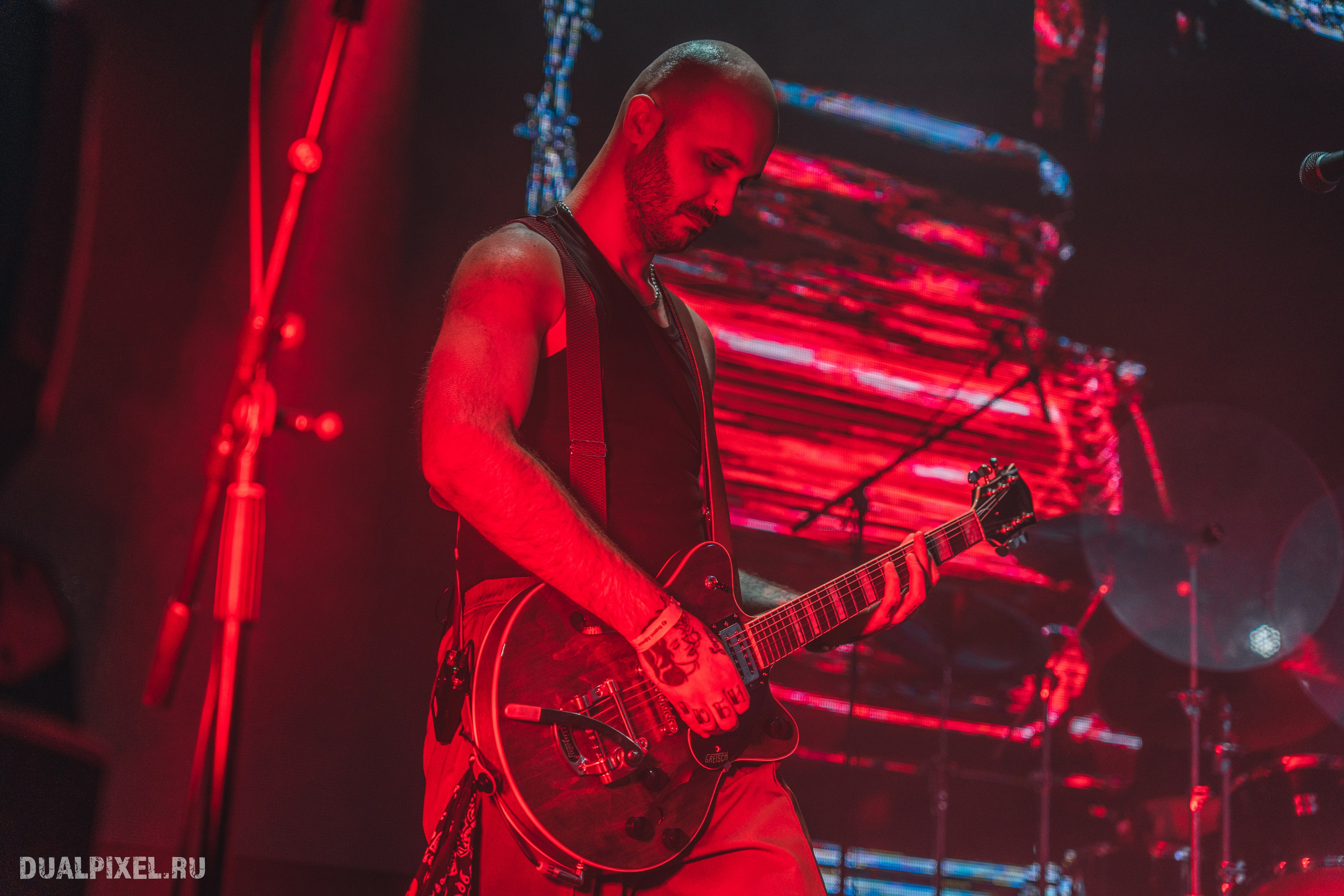 Stervell. Магия музыки в кадре: Концертная Фотография