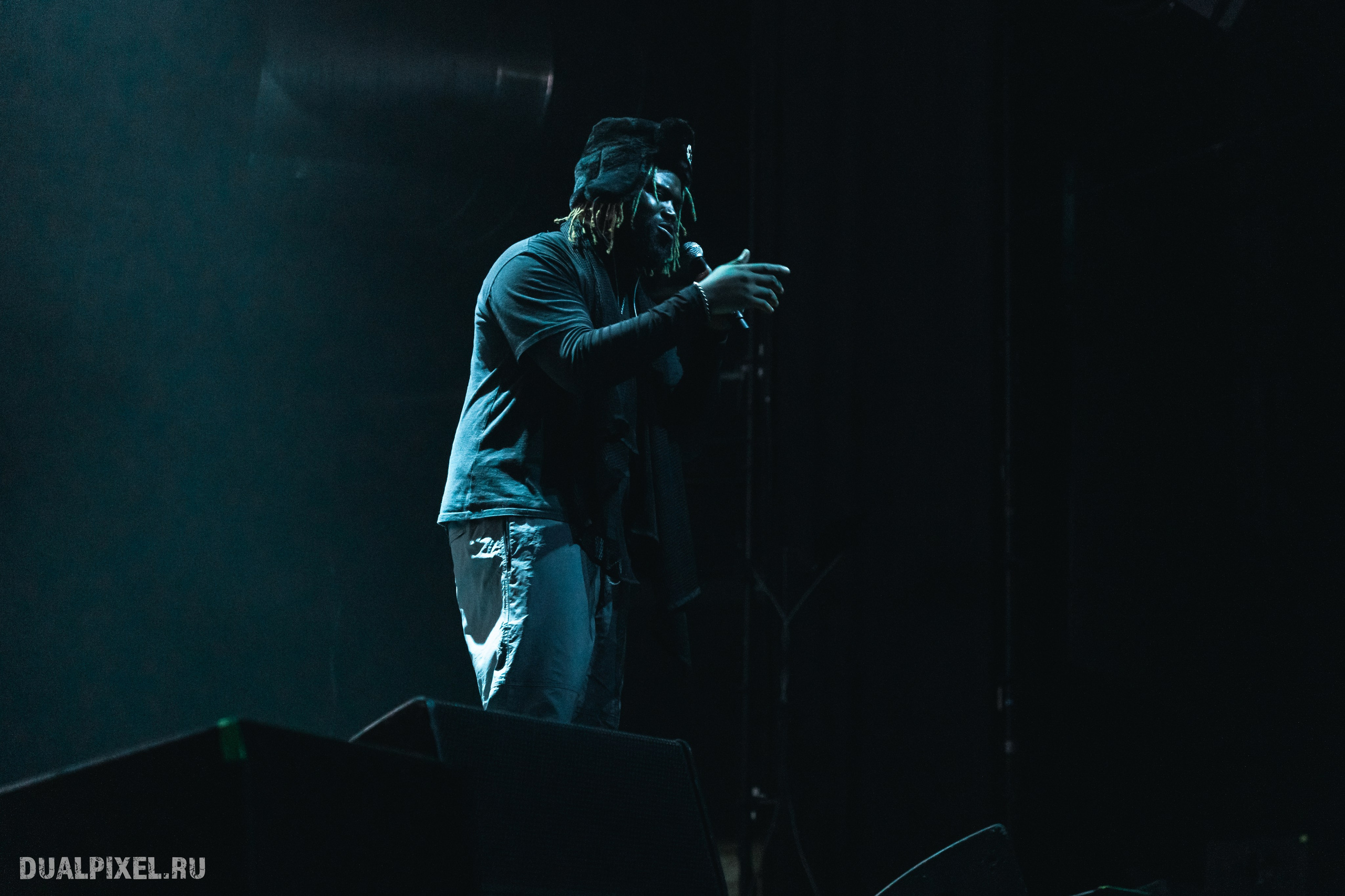 Prince Of Falls. Магия музыки в кадре: Концертная Фотография