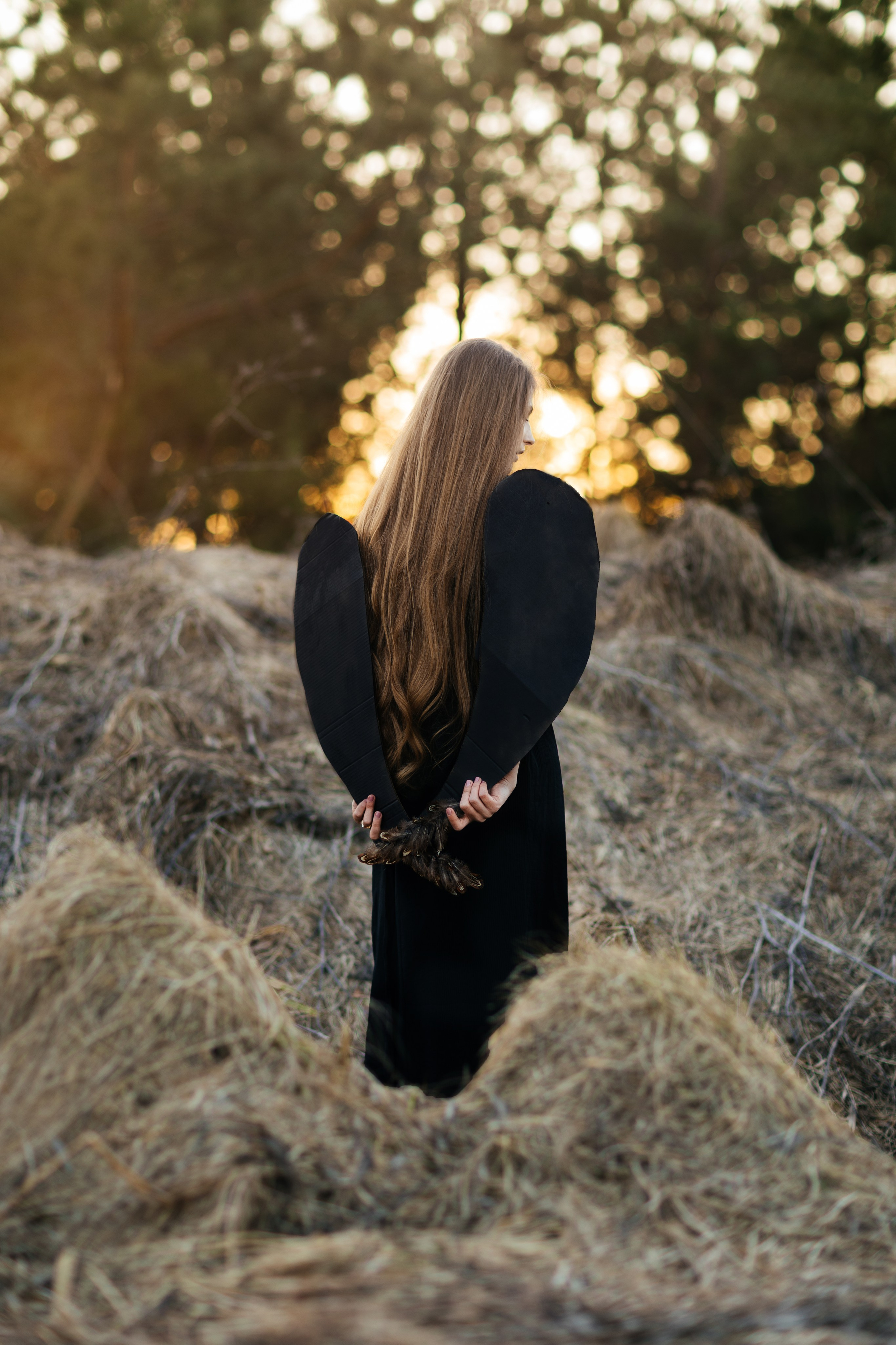 BIRD. Ваш фотограф Любовь Чистякова