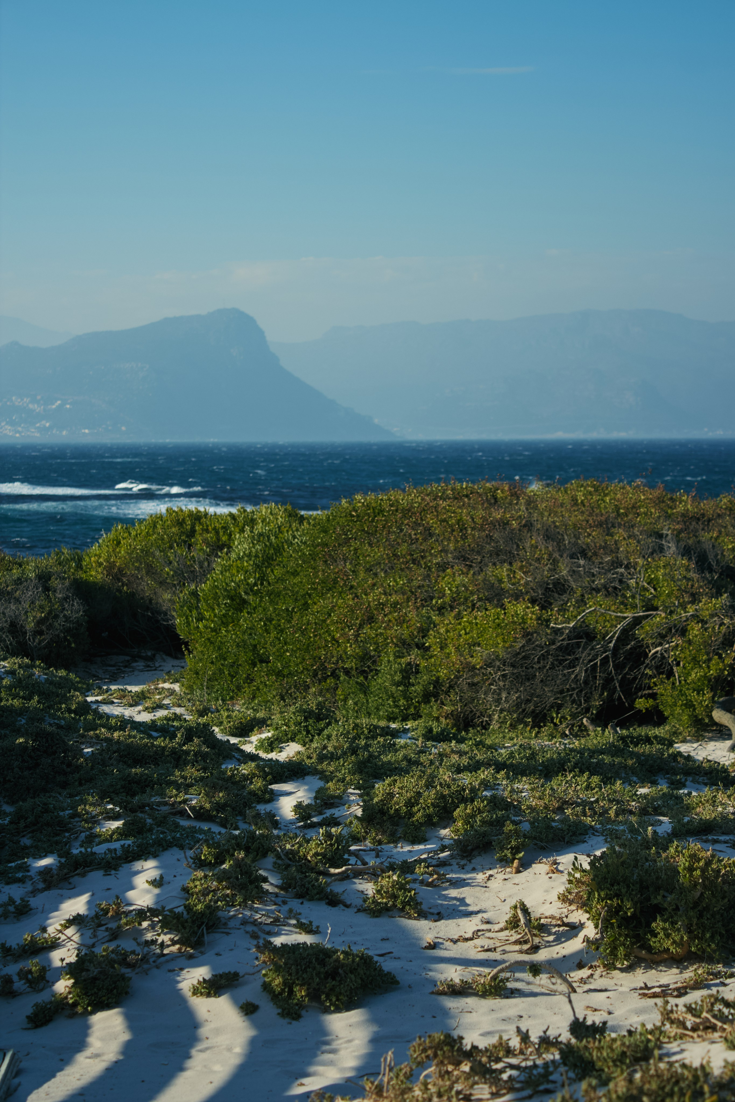 ЮАР. Профессиональный Фотограф во Владимире, в Москве и в Суздале — Полина Романычева
