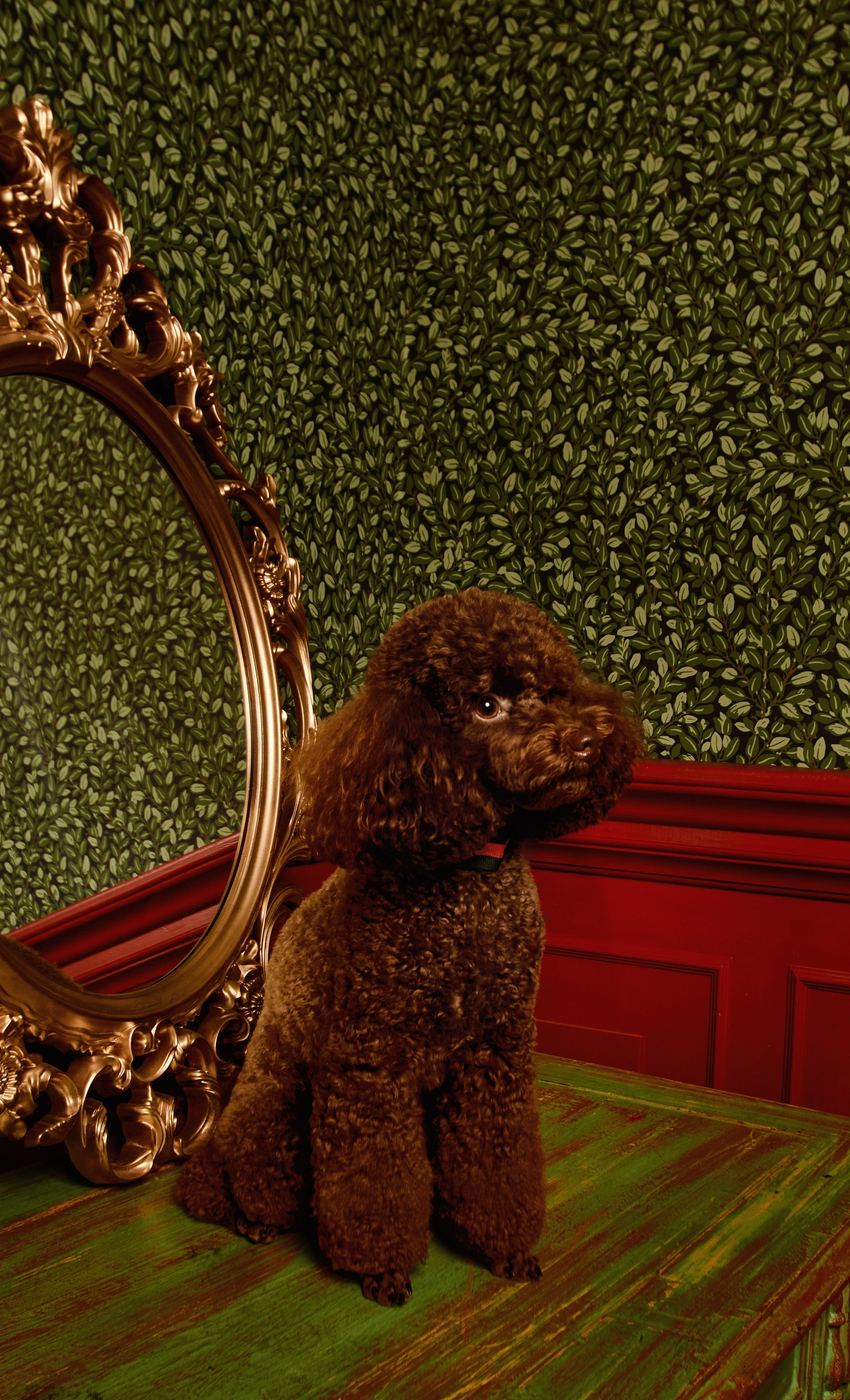 Проект «В СТИЛЕ GUCCI». ФОТОГРАФИЯ И МОДА