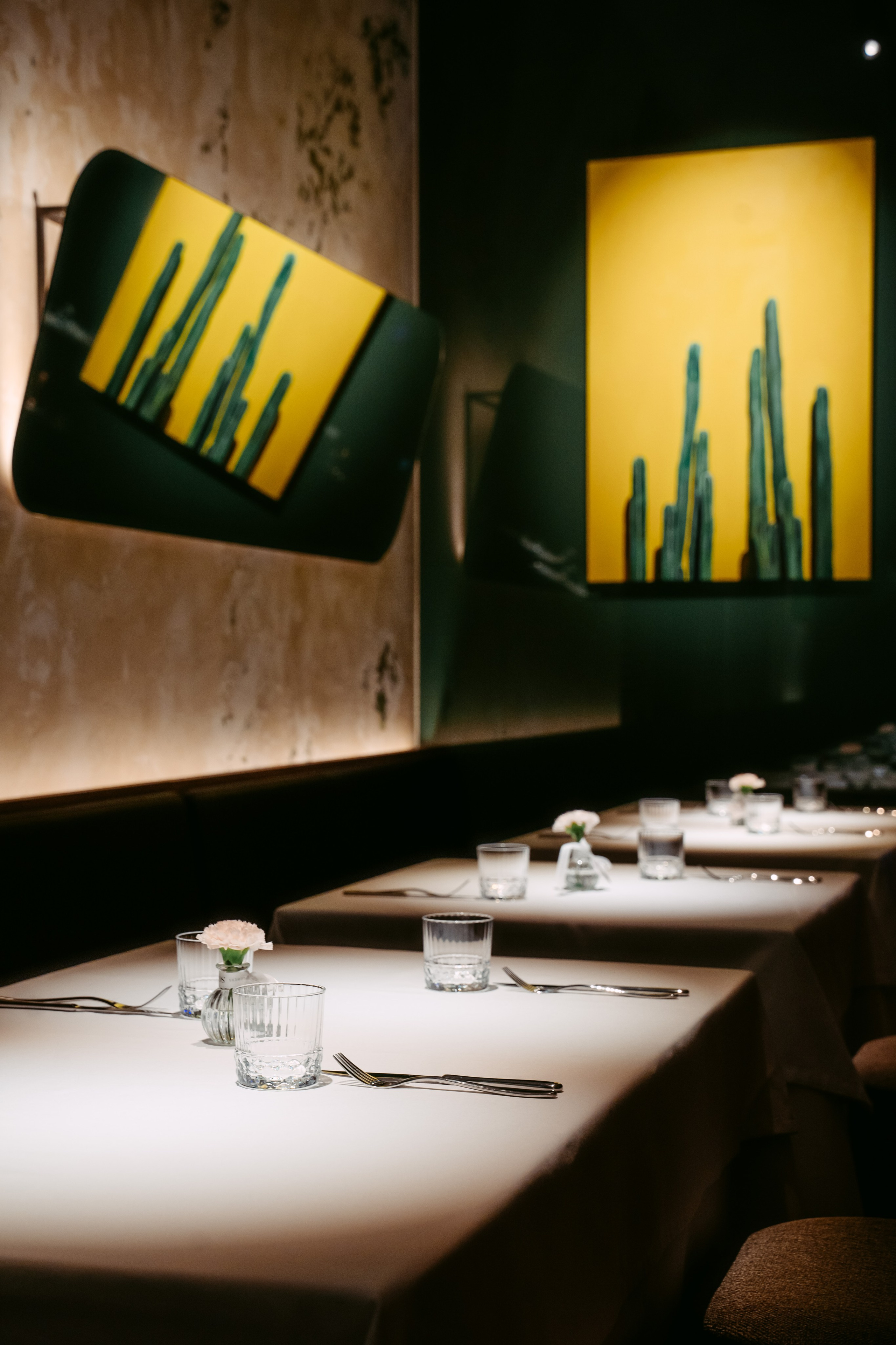 Avocado Queen / сеть ресторанов в Москве и Казани. Саша Копылов, фотограф в Казани