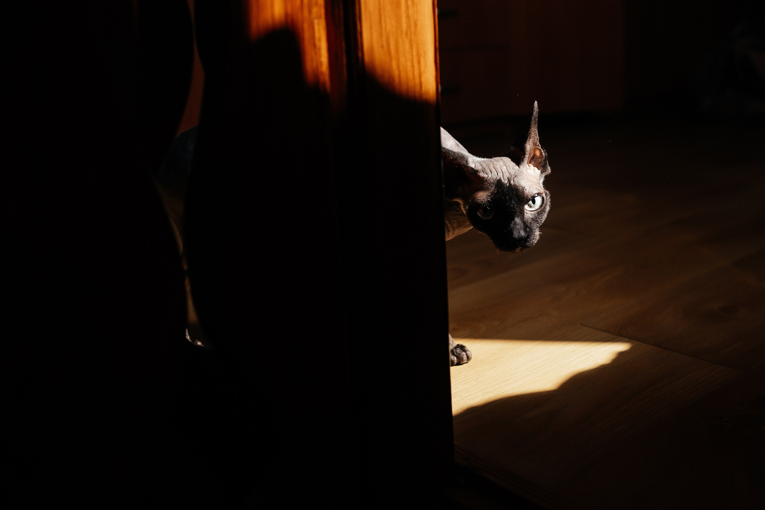 Все по року. Свадебный и семейный фотограф Барнаул Рубцовск Бийск Алтайский край