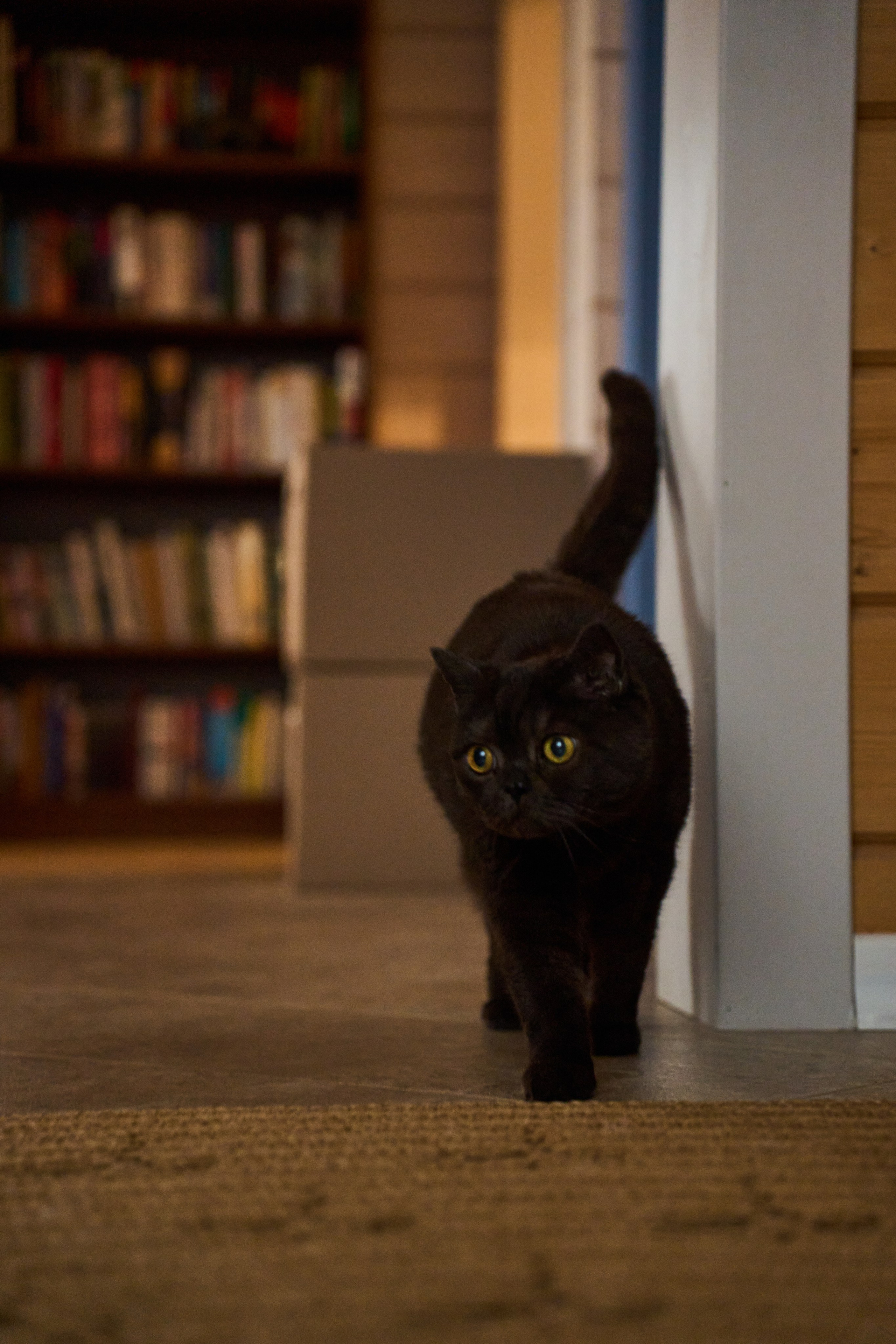 Осенняя история. Фотограф Женя Пашкина