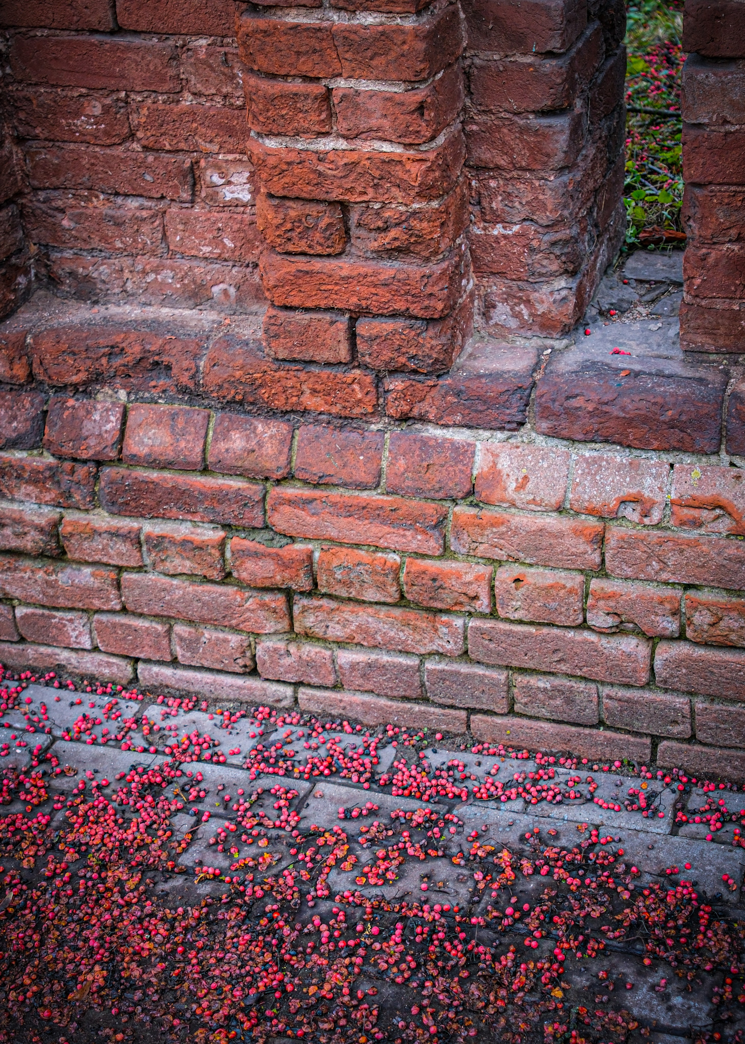 Текстуры. Фотограф в Москве, фотожурналист Александр Малахов