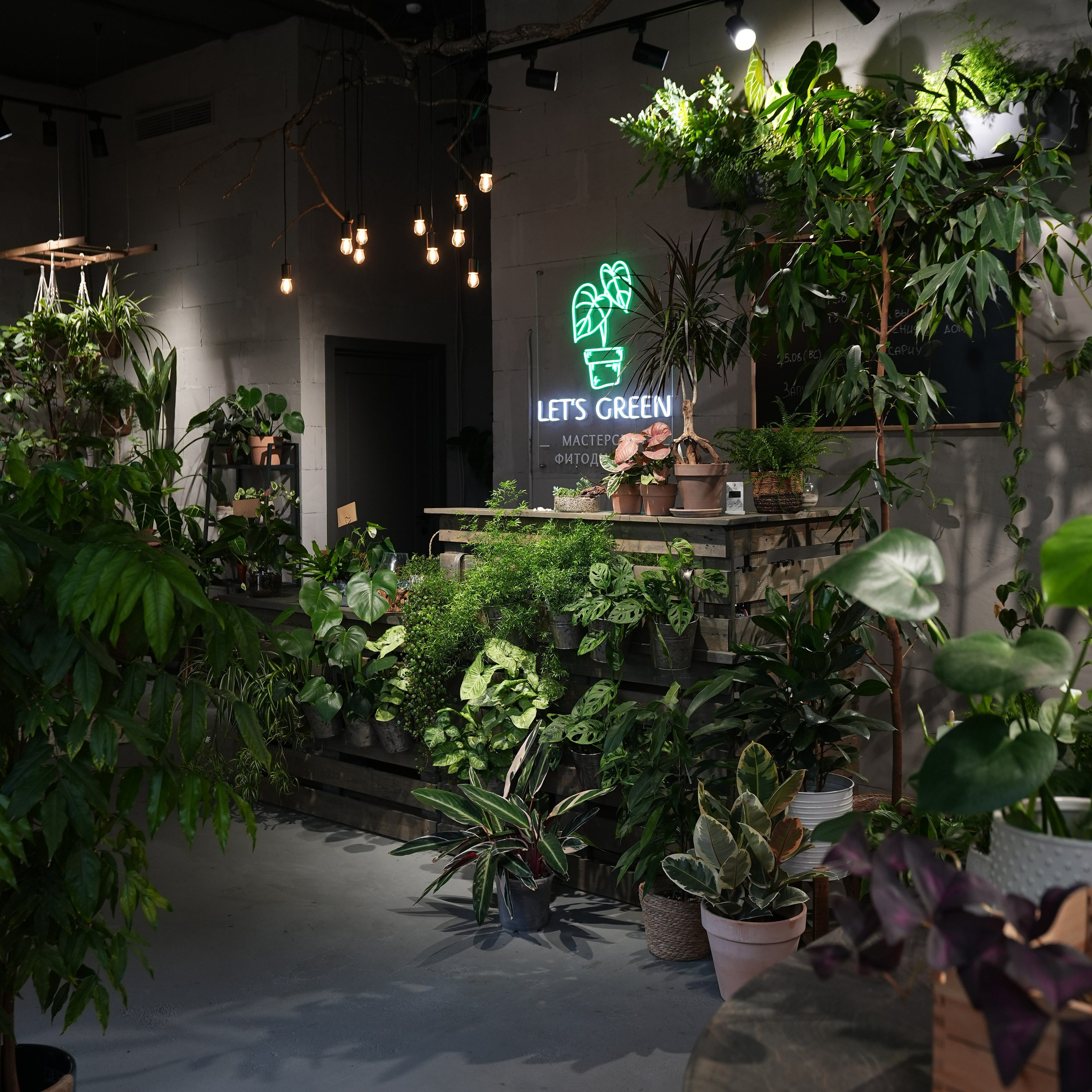 Интерьерная фотосъемка флористического магазина