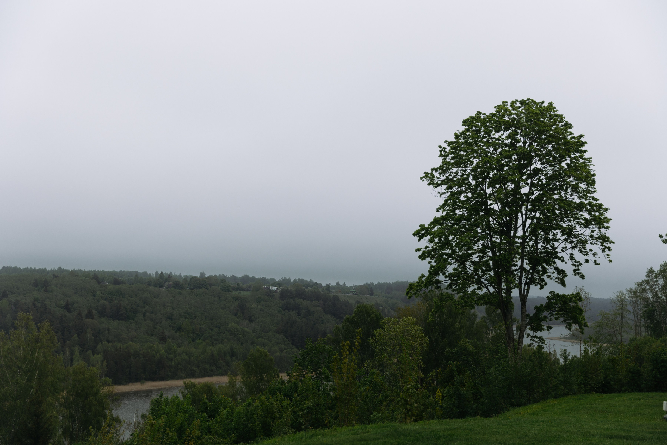 Ольга и Сергей. Свадебный и портретный фотограф в Москве и Санкт-Петербурге