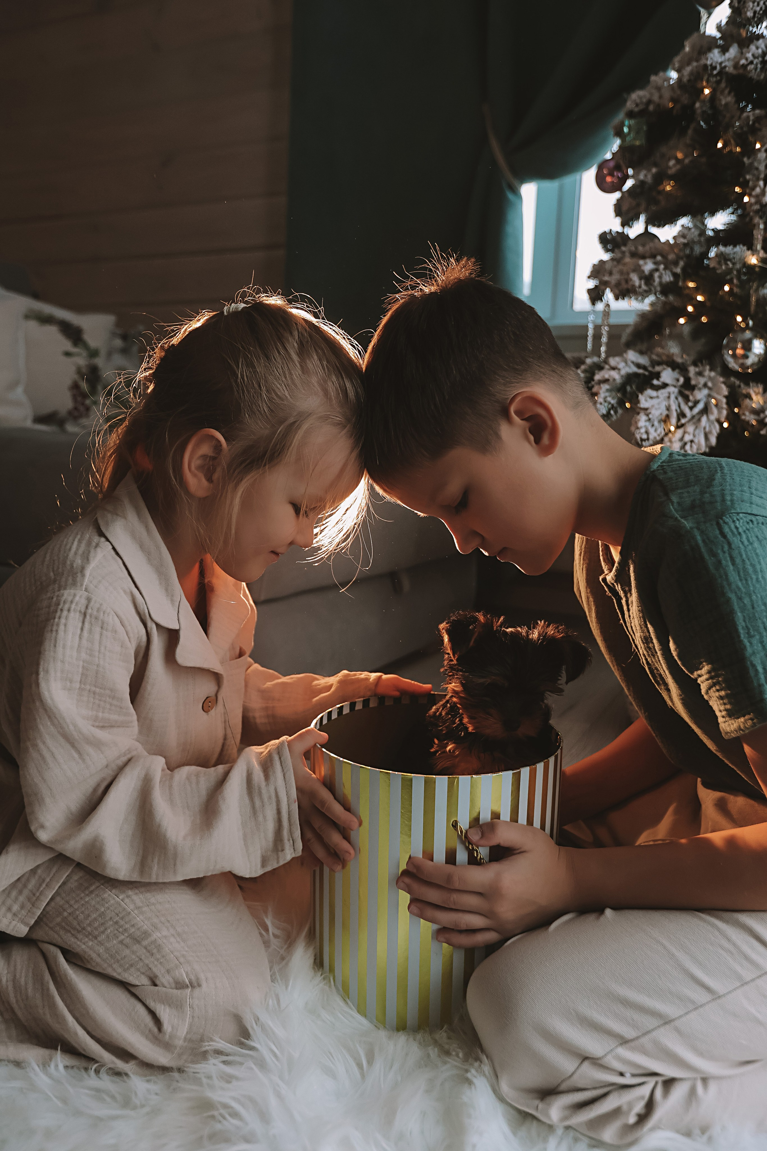 Домашняя. Семейный фотограф Тюмень, фотограф на роды Салмина Мария