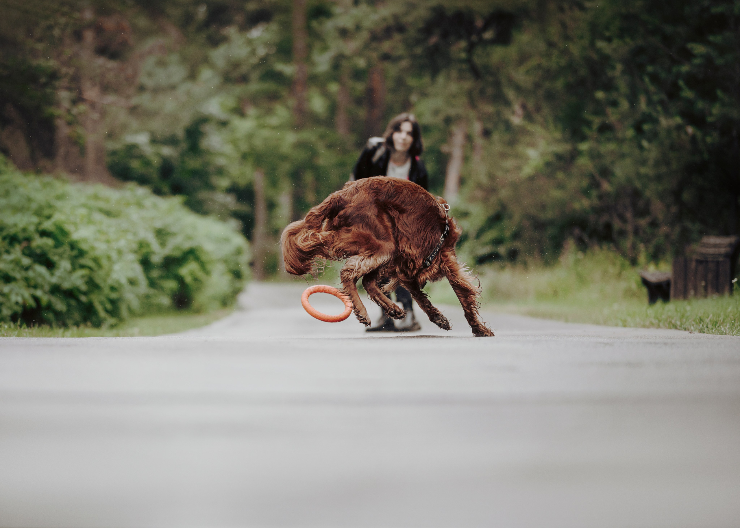 Рейн. Фотограф- анималист Александра Матвеева