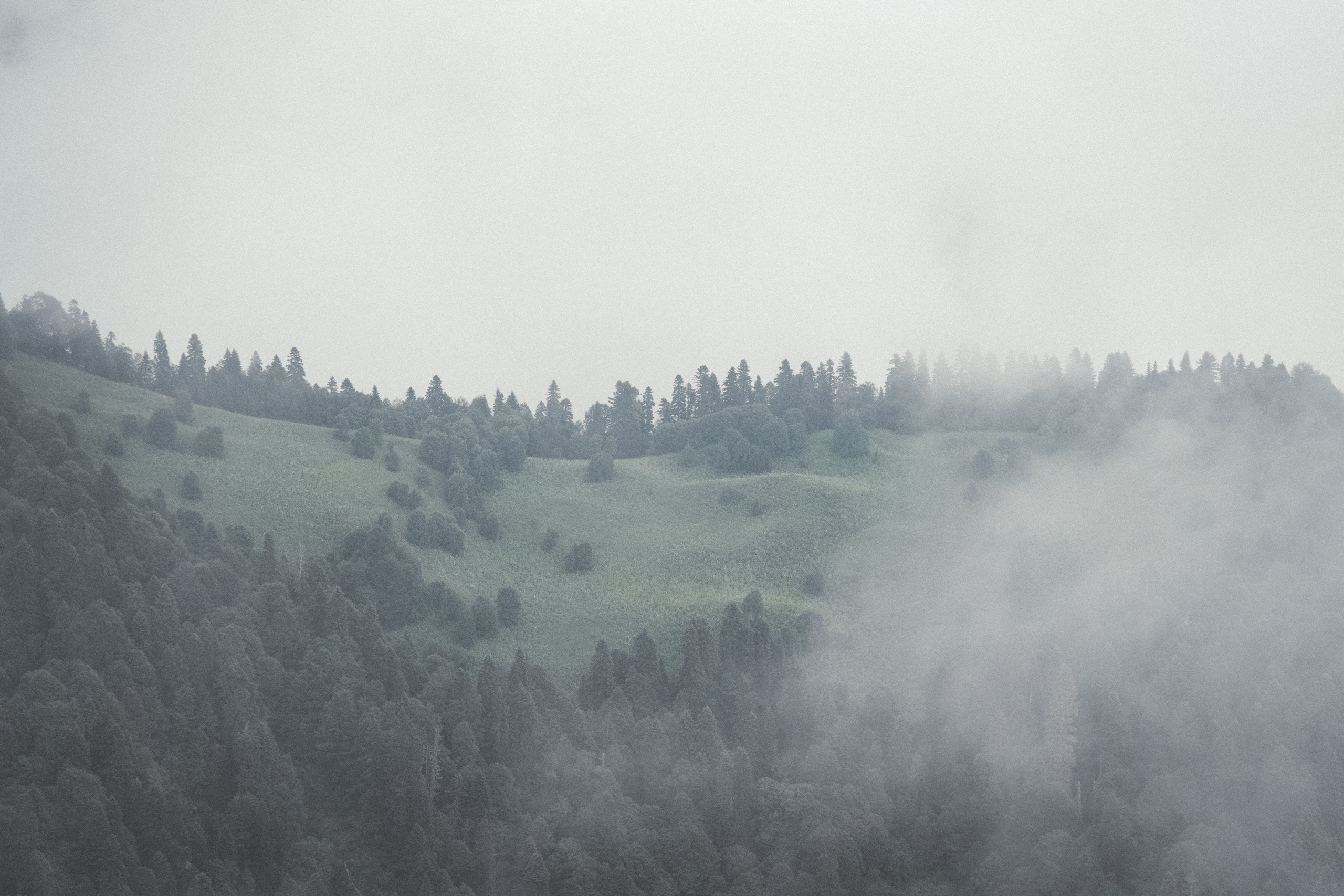 Нахазо ✽ Июль. Репортажный фотограф | Роза Хутор Красная Поляна Сочи Сириус