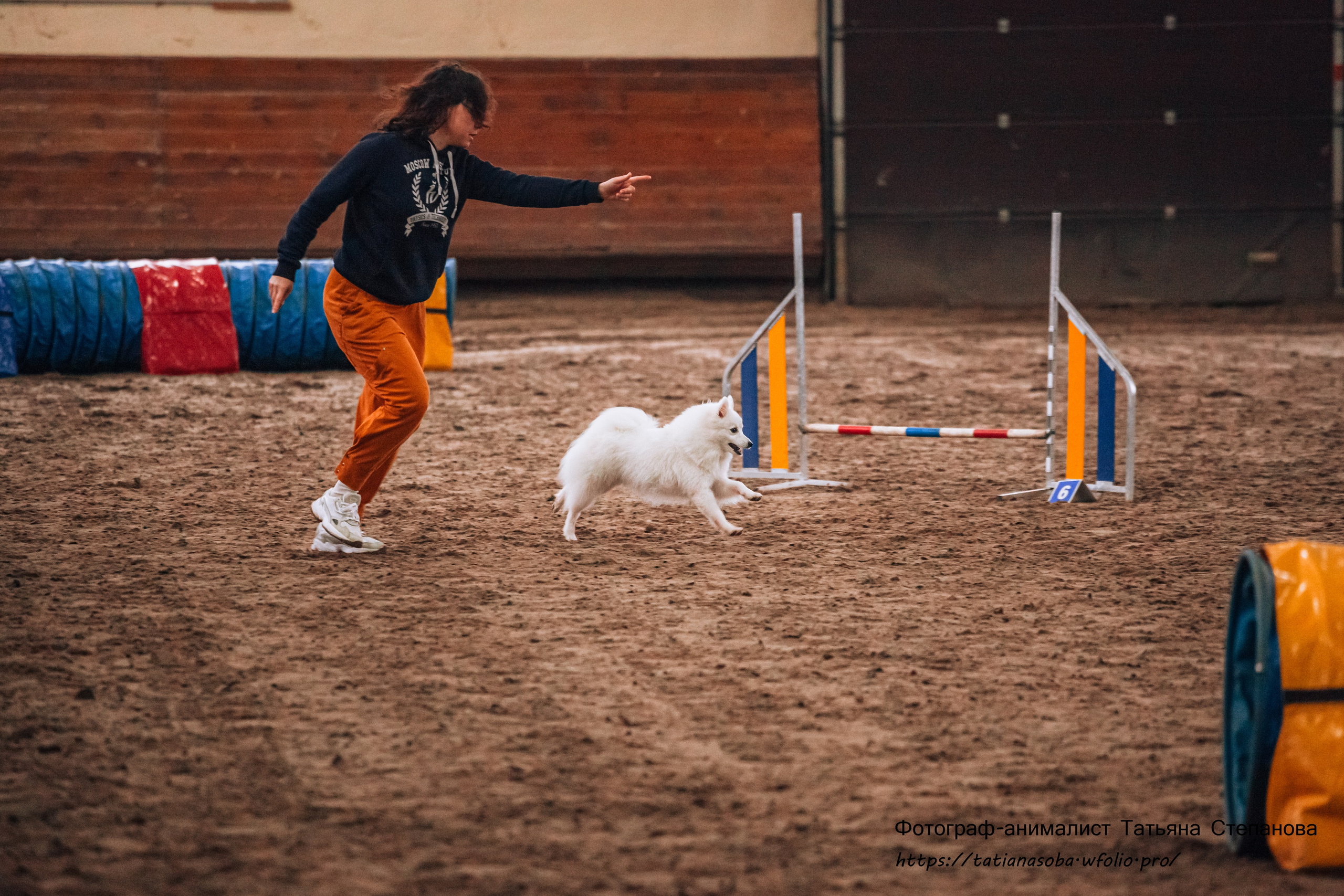 Соревнования по Аджилити 25.02.2024. Фотограф-анималист Татьяна Степанова