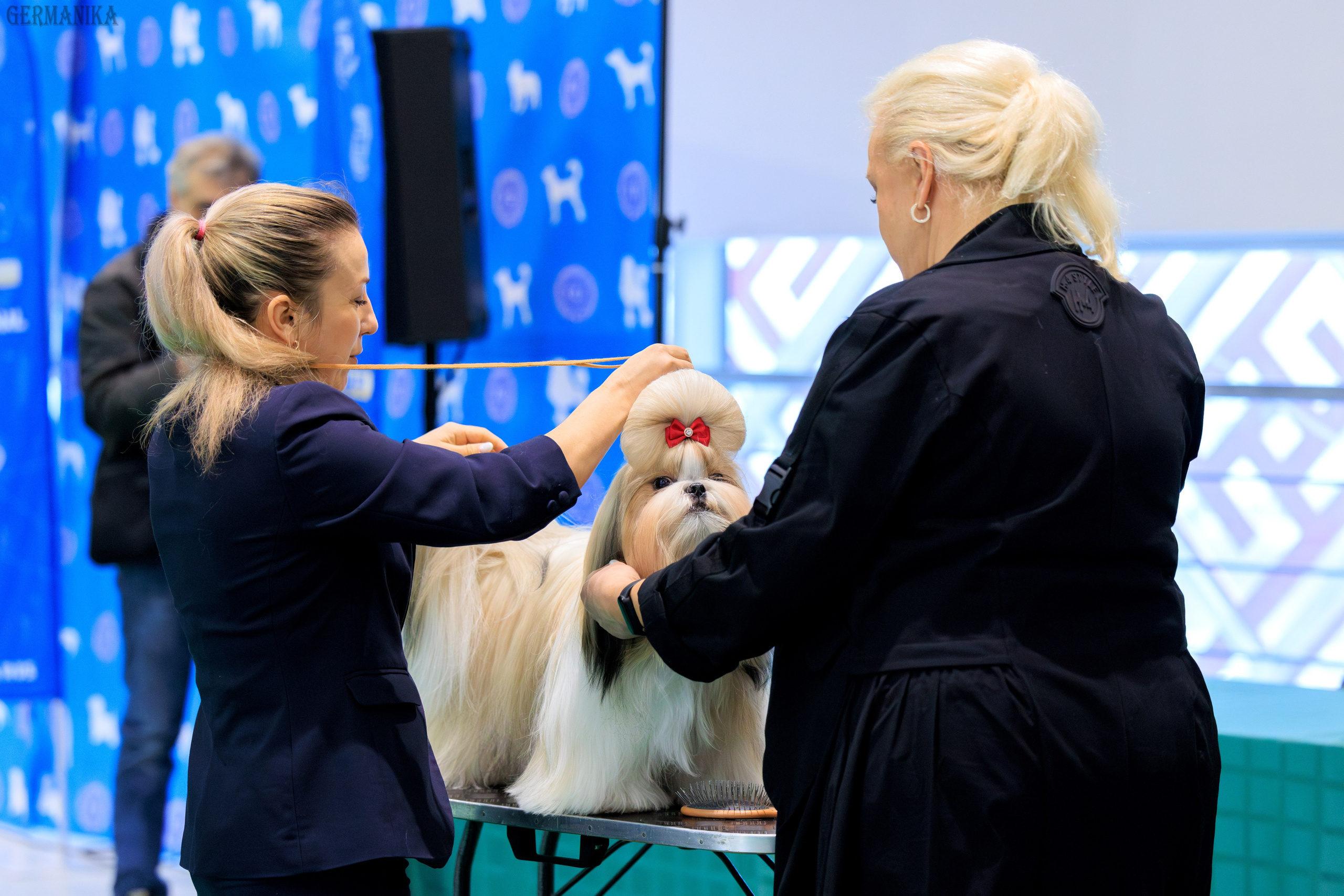 Минск 24-25.02.2024. Фотограф-анималист Юлия Германика