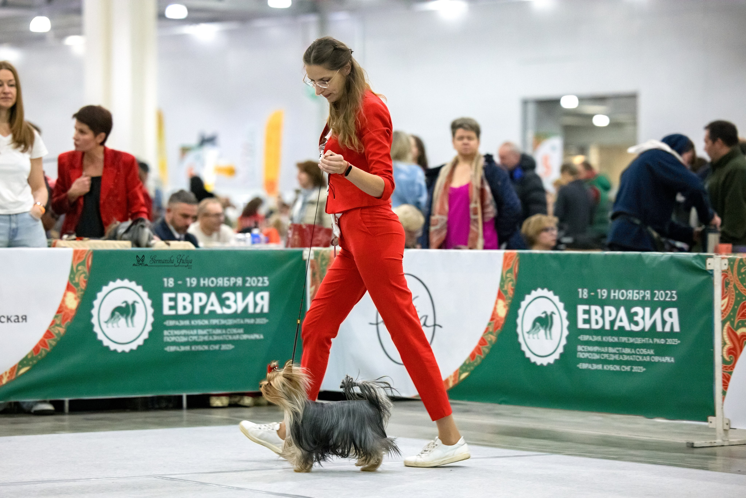 ЕВРАЗИЯ 18-19.11.2023. Фотограф-анималист Юлия Германика