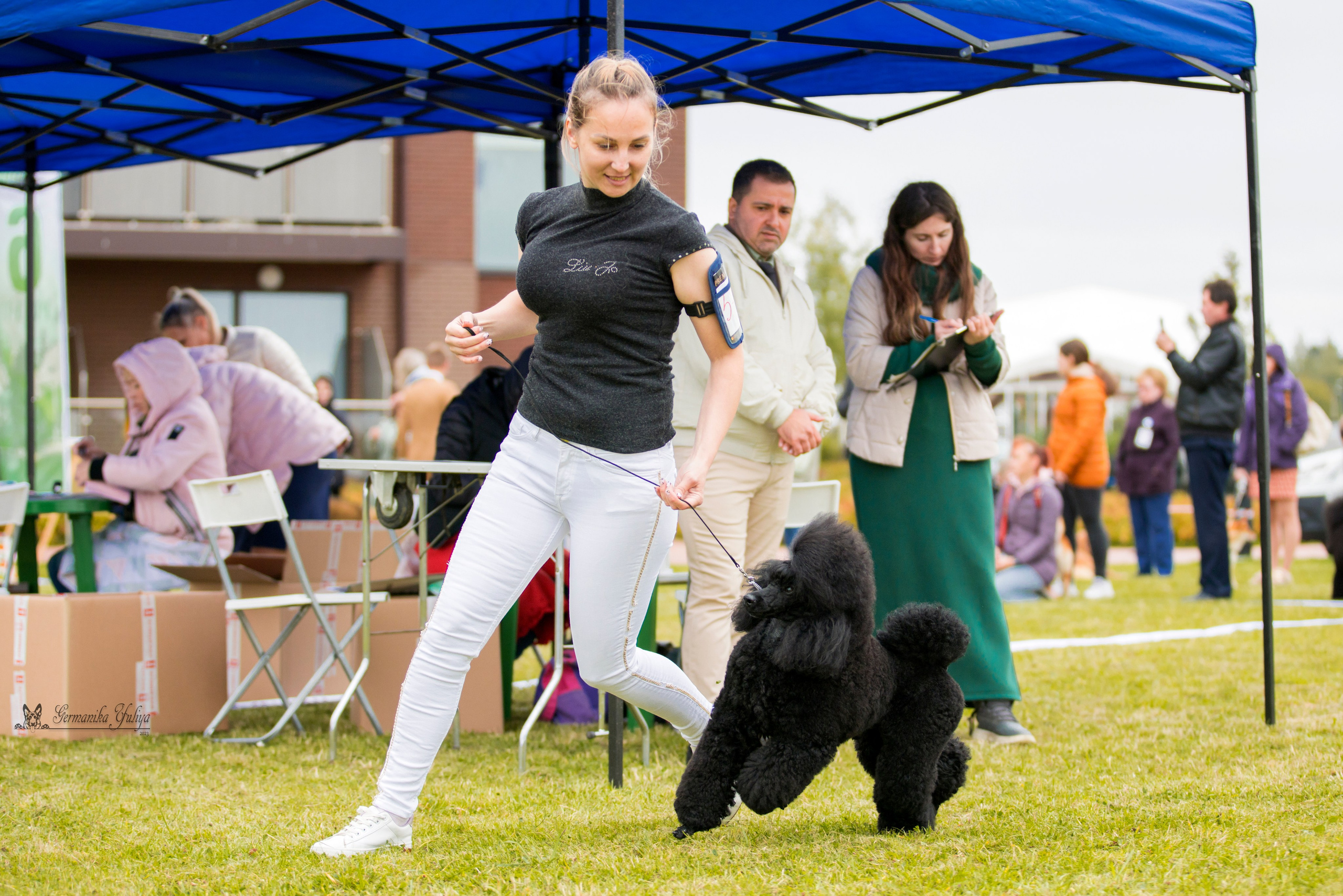 Переславль 9-10.09.2023. Фотограф-анималист Юлия Германика