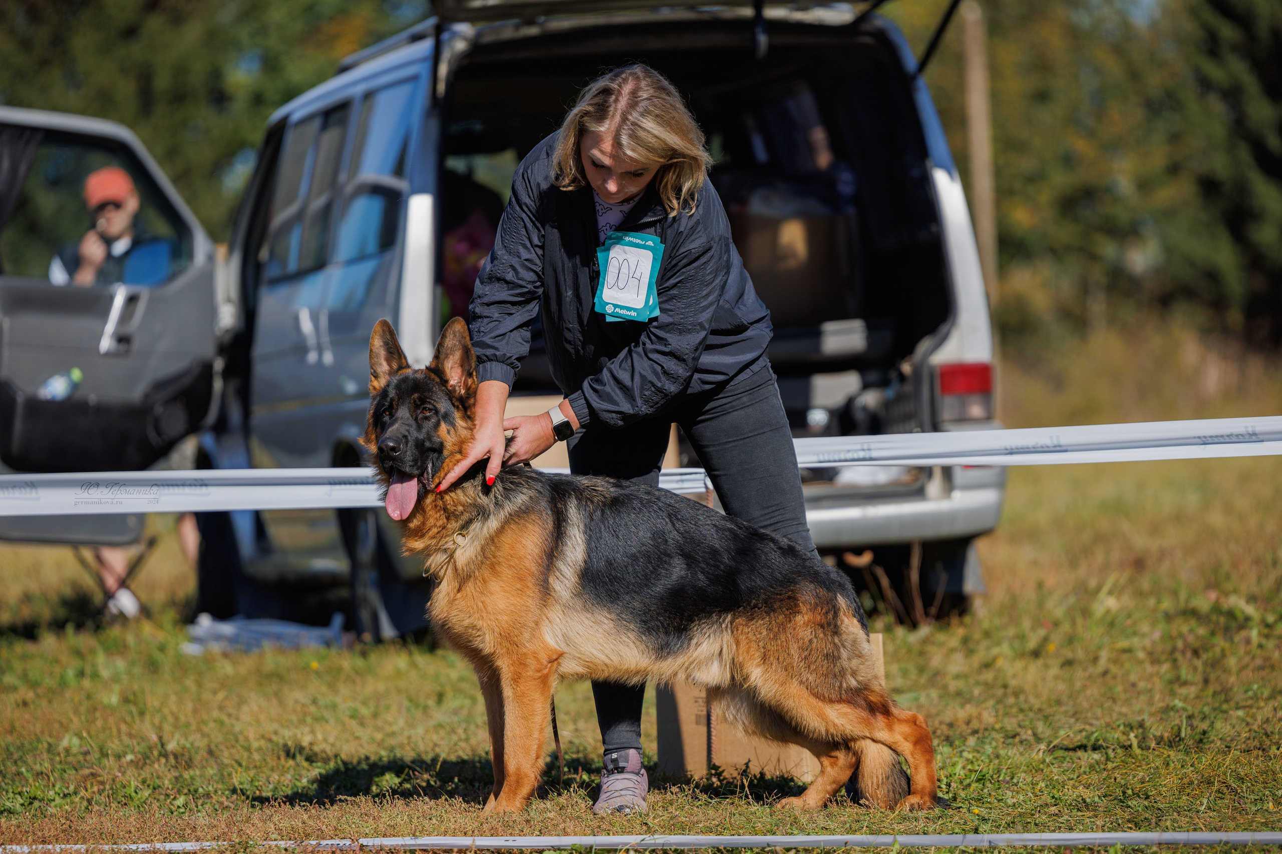 Тверь немецкие овчарки 22.09.2024. Фотограф-анималист Юлия Германика