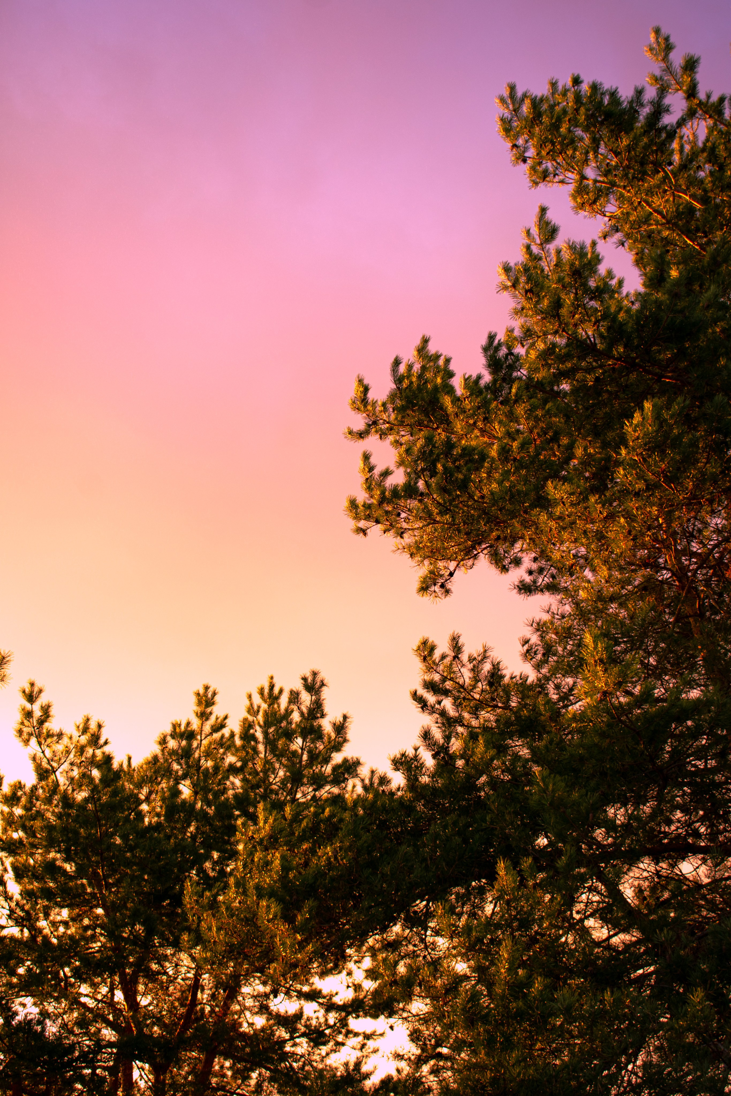 Фотограф/видеограф Богдан Голованов
