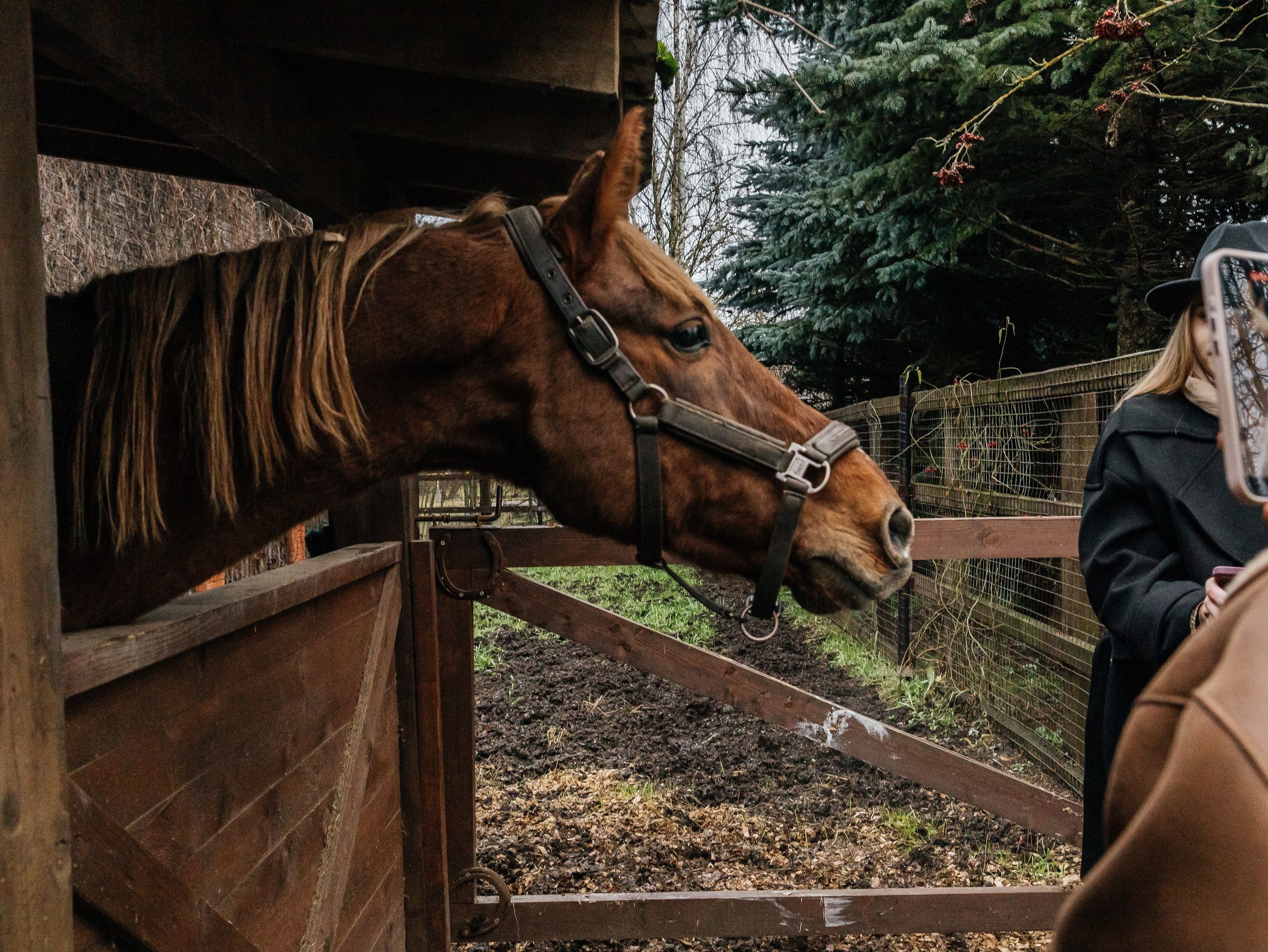 Ферма «Few Horses». Фотограф | портрет | бренды | репортаж