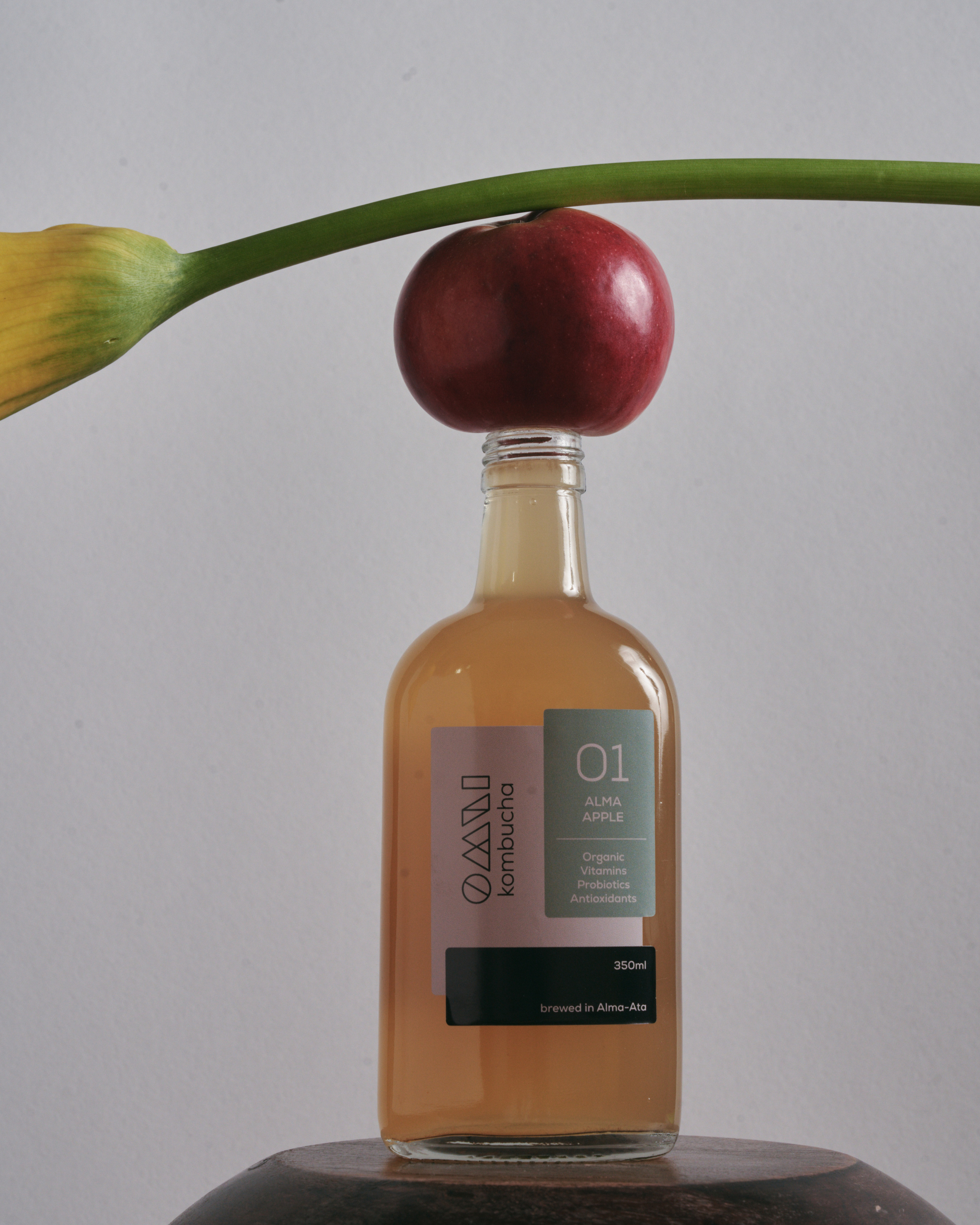 Still life. Slozhnomarya