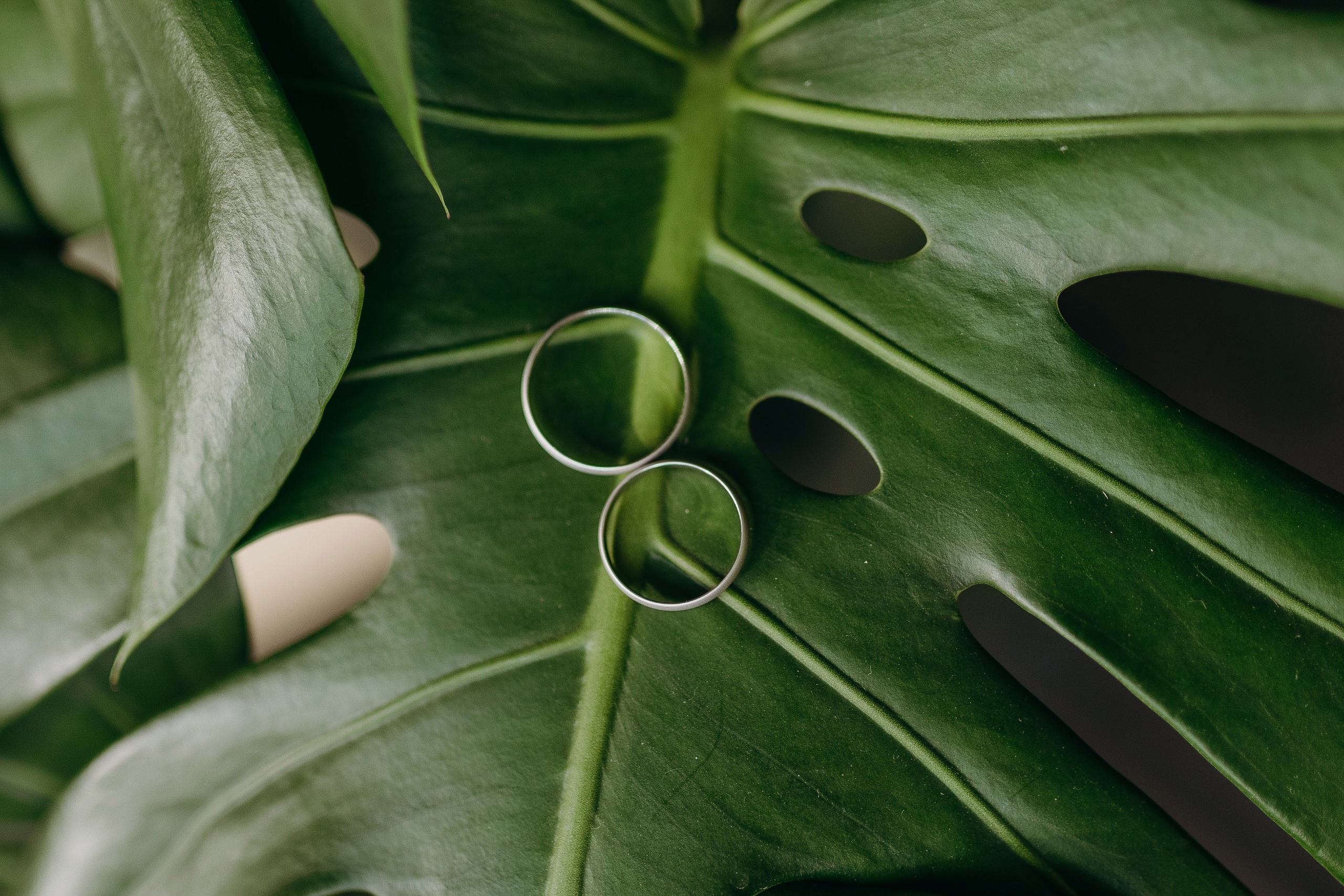 Wedding day 29.06.24. Свадебный фотограф в Санкт-Петербурге