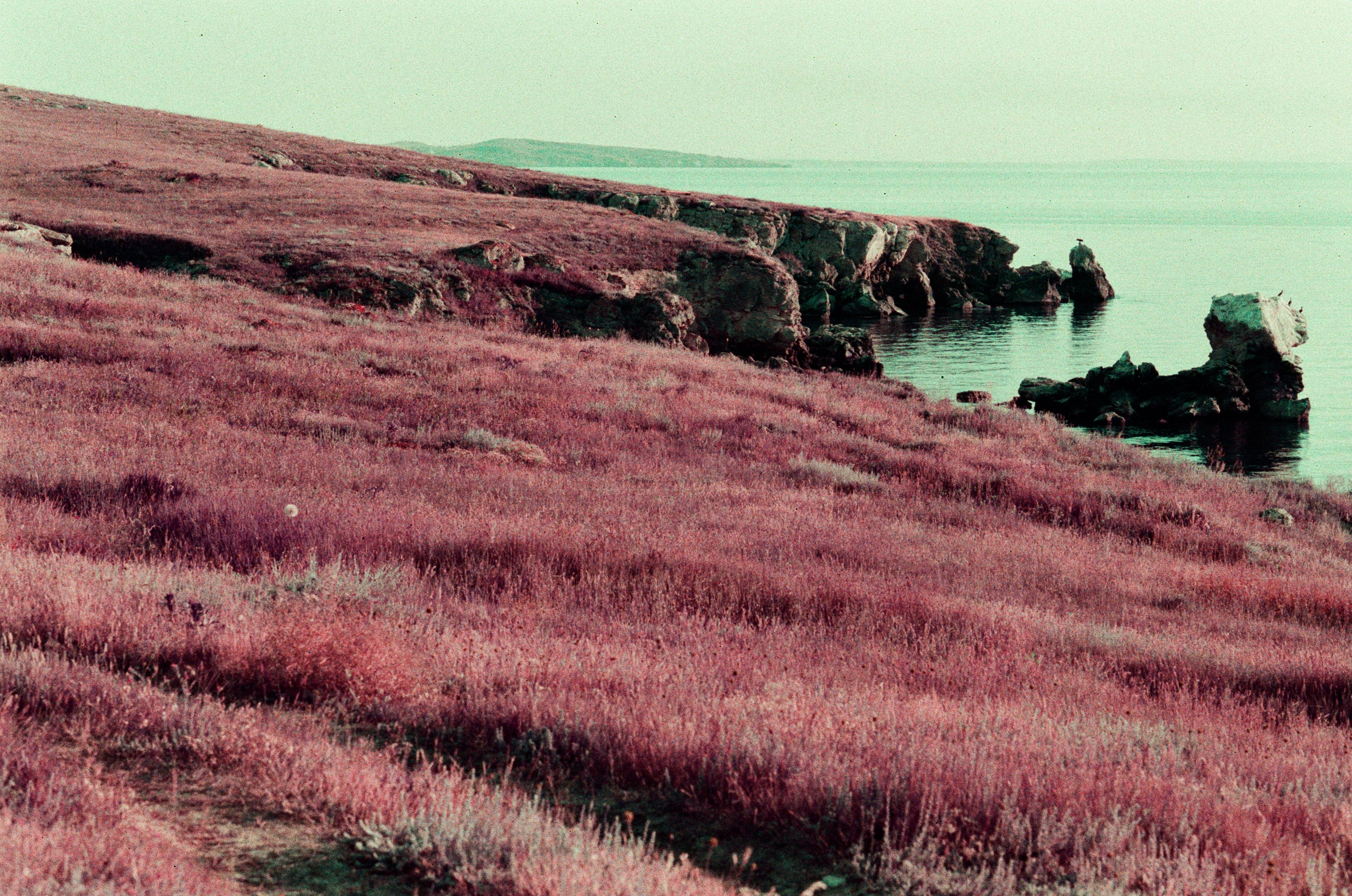 Dig it // ukraine, crimea VI. EVER EXPOSED