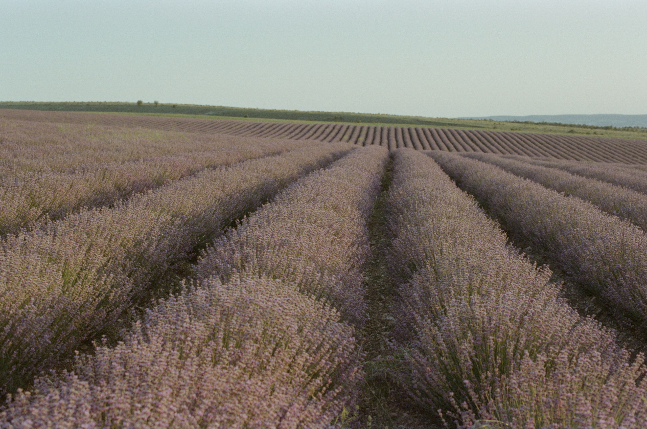 Silent running // ukraine, crimea V. EVER EXPOSED