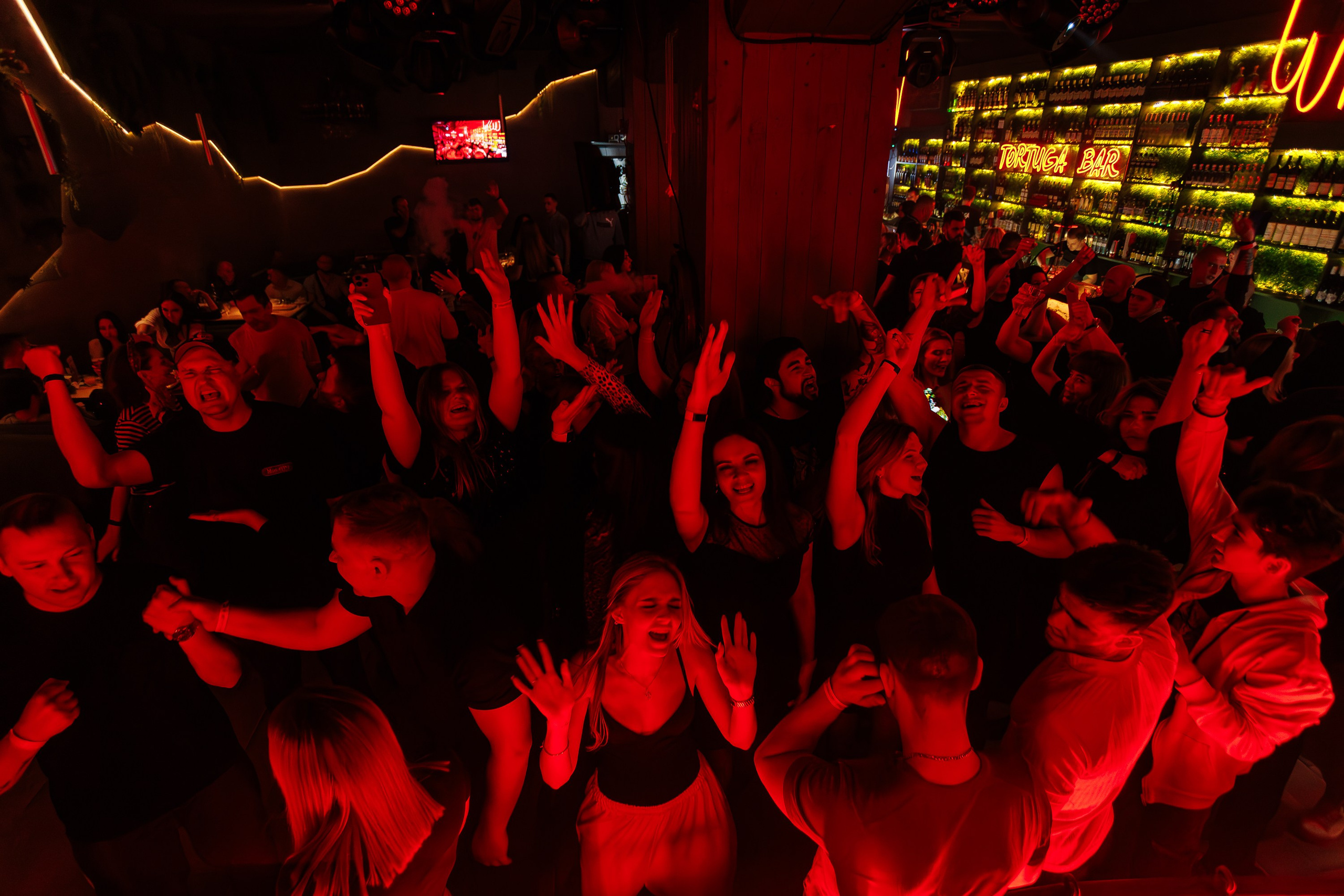 «Мартовские коты"_Tortuga_Симферополь_29.03.2025. Аминов Руслан | Фотограф