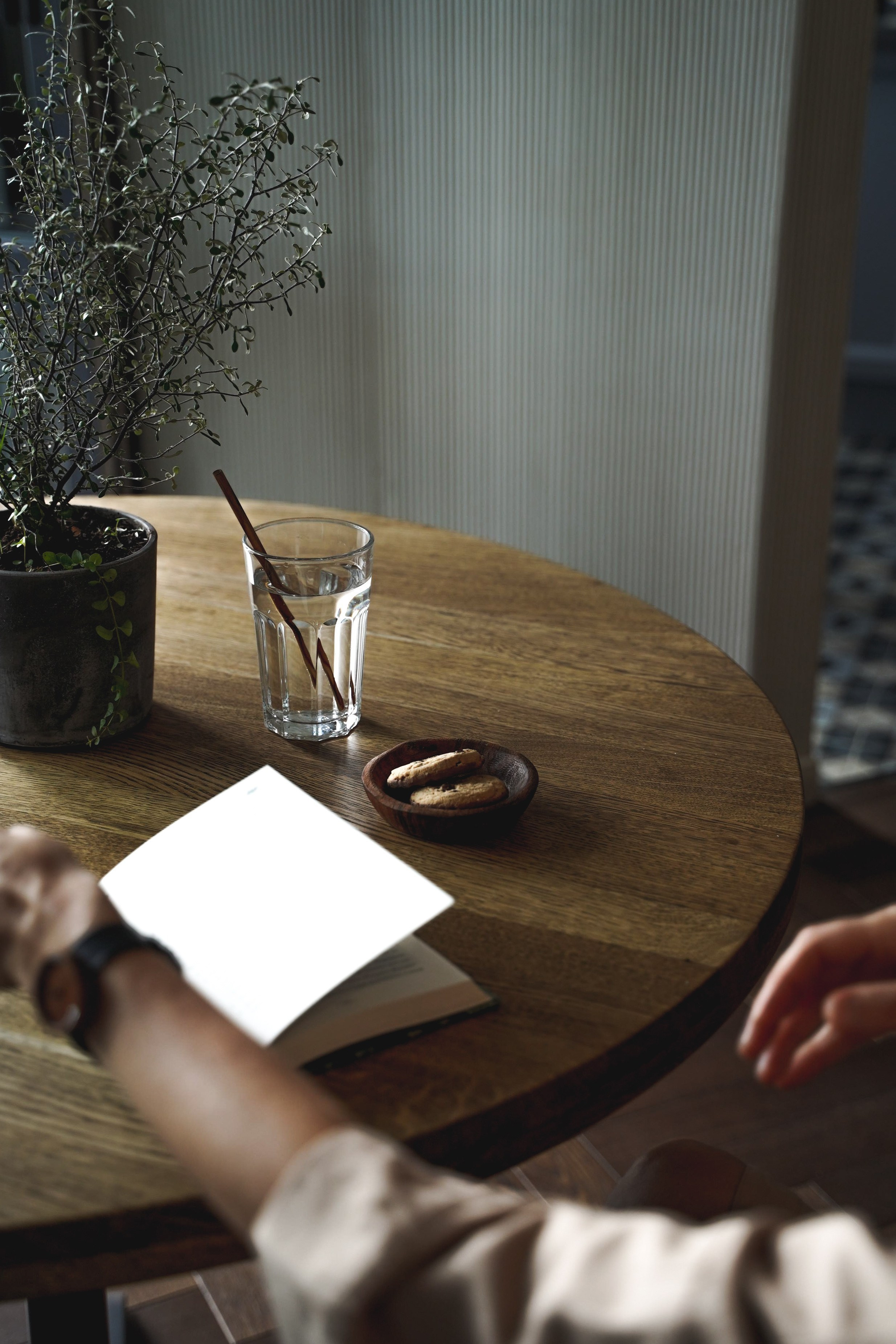 Designer. Фотограф, оператор, режиссер монтажа в Москве Сюзанна Евсюкова