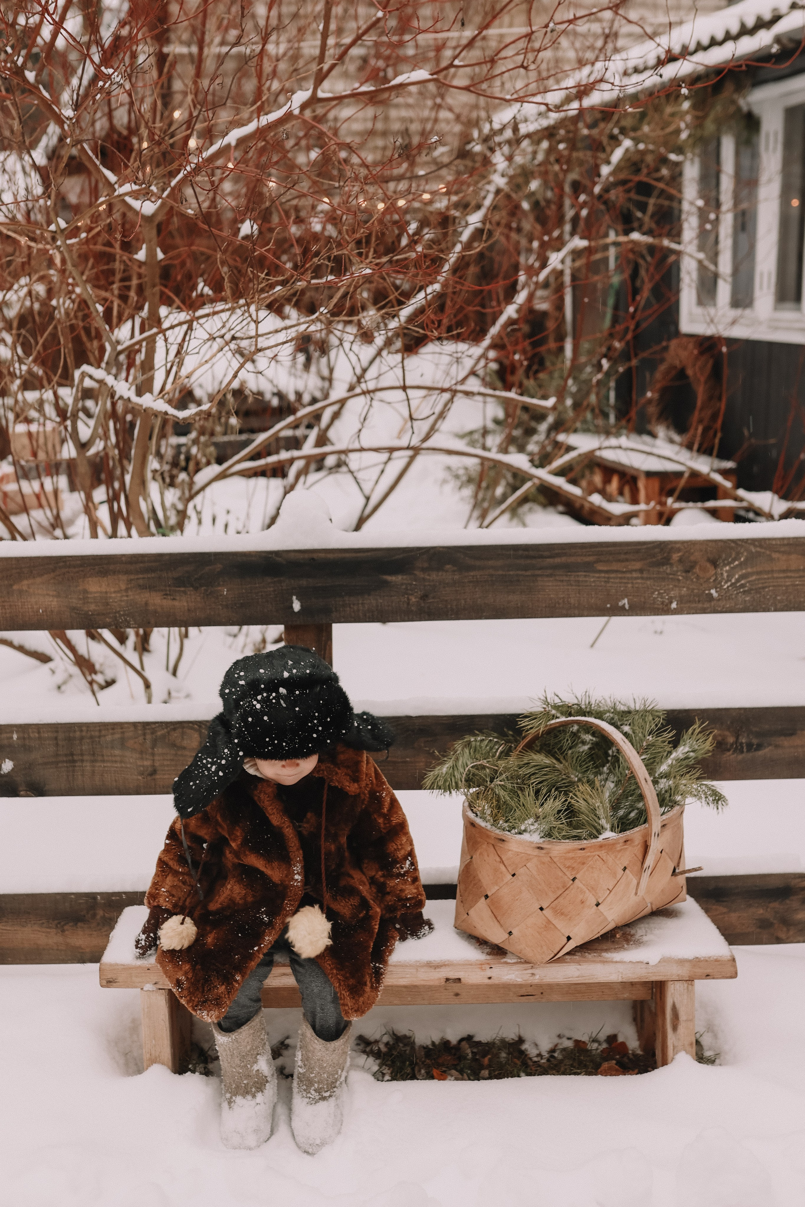 Зимняя сказка. Елена Гореликова фотограф в Москве