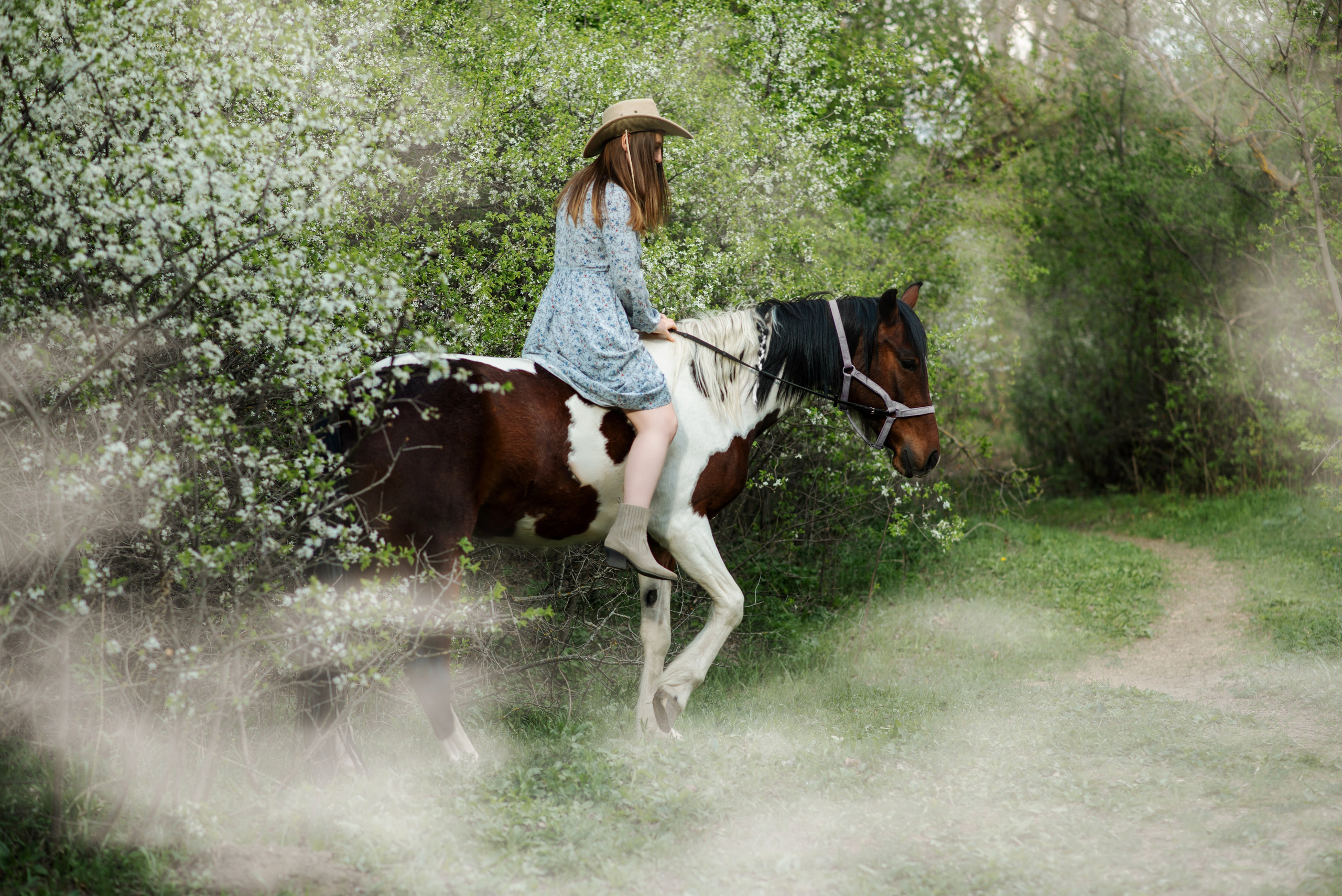 Кристина и Бемби. Конный фотограф в Саратове Юлия Иванова