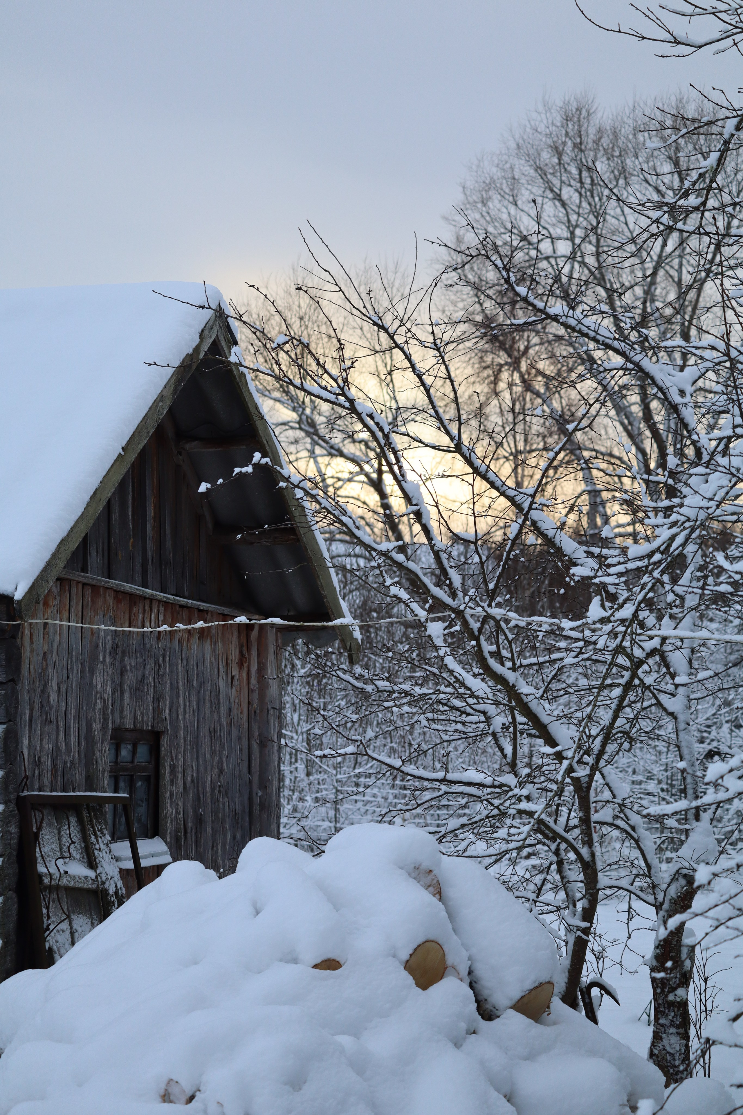 Зимняя сказка. Фотокружок «Видоискатель» ГБОУ СОШ № 291