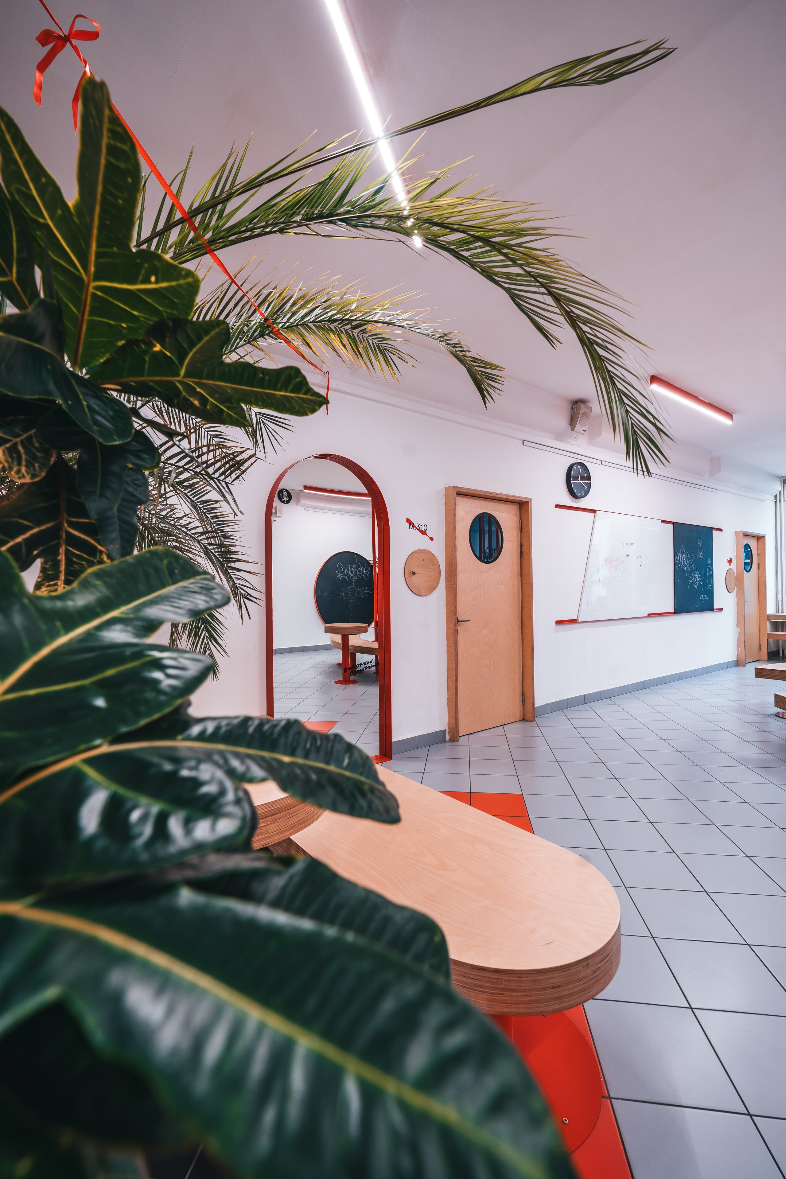 Европейская гимназия. @tomrus: Рустам Шагиморданов — фотограф