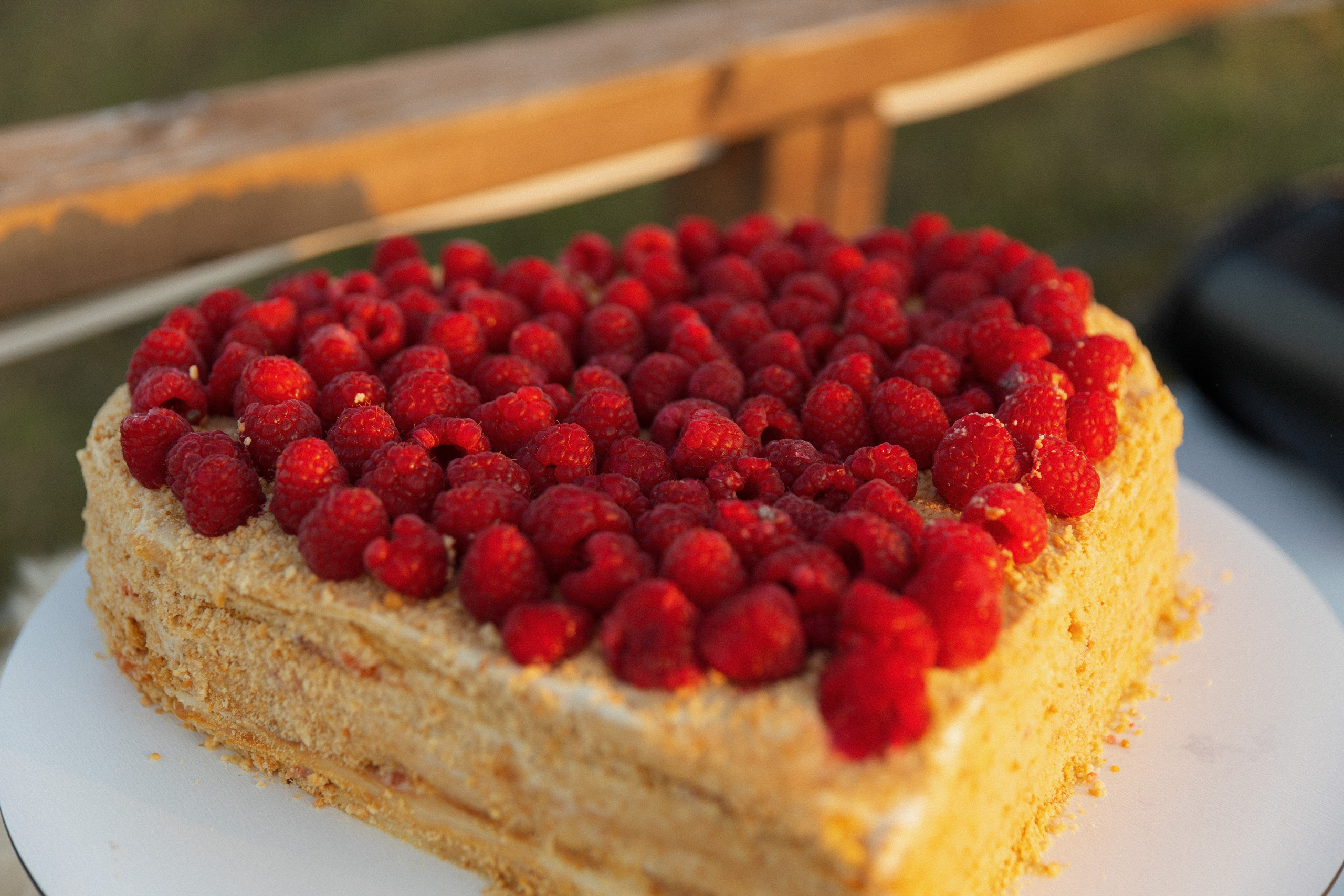 Евгений и Дарья. Свадебный и репортажный фотограф в Санкт-Петербурге Николай Голованов