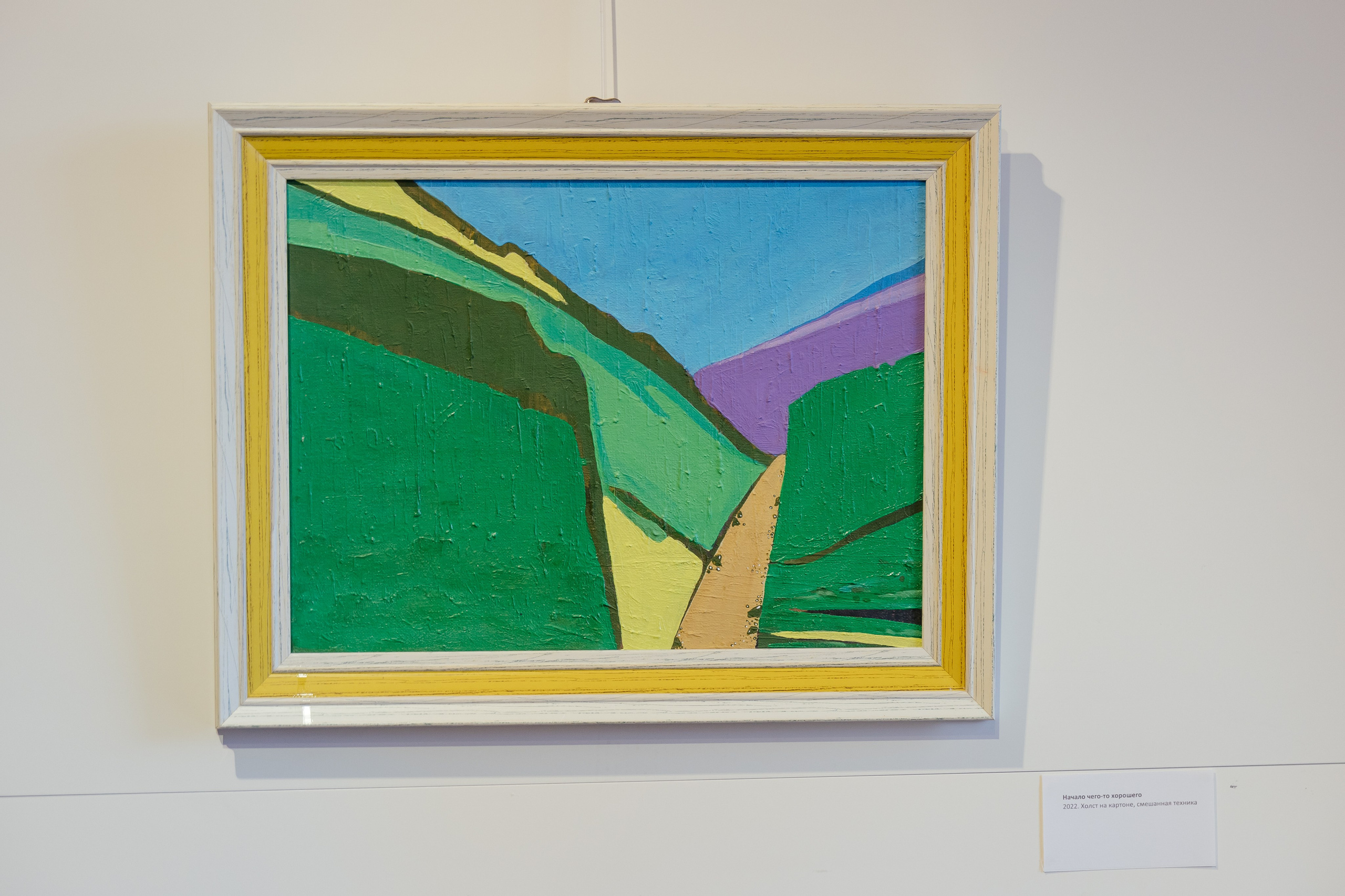 Выставка Лиры Алборовой «Цвет — это я». Свадебный и репортажный фотограф в Санкт-Петербурге Николай Голованов