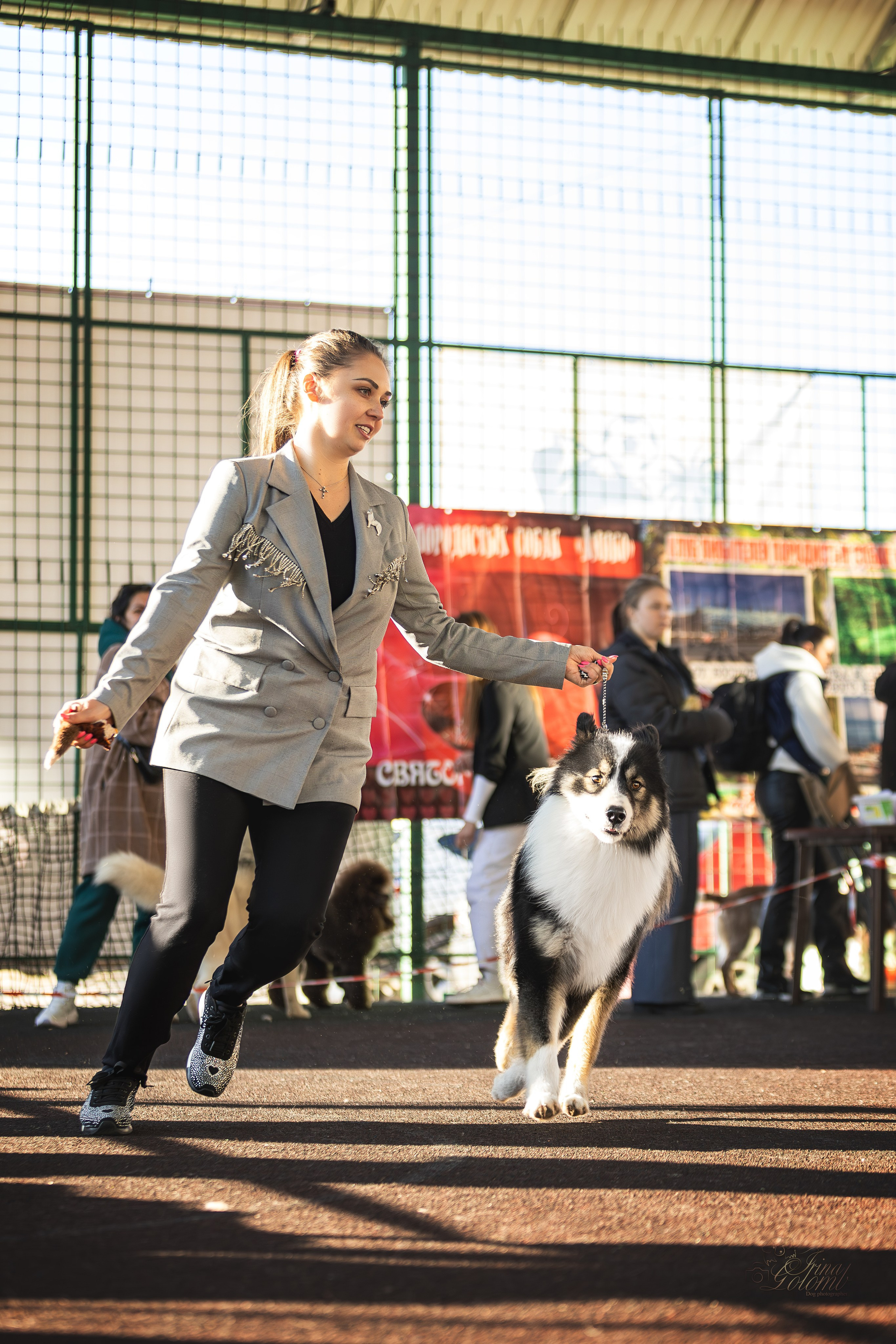Выставка 25.02.2024. Ирина Голомб|Фотограф-анималист в  Сочи и Калининграде