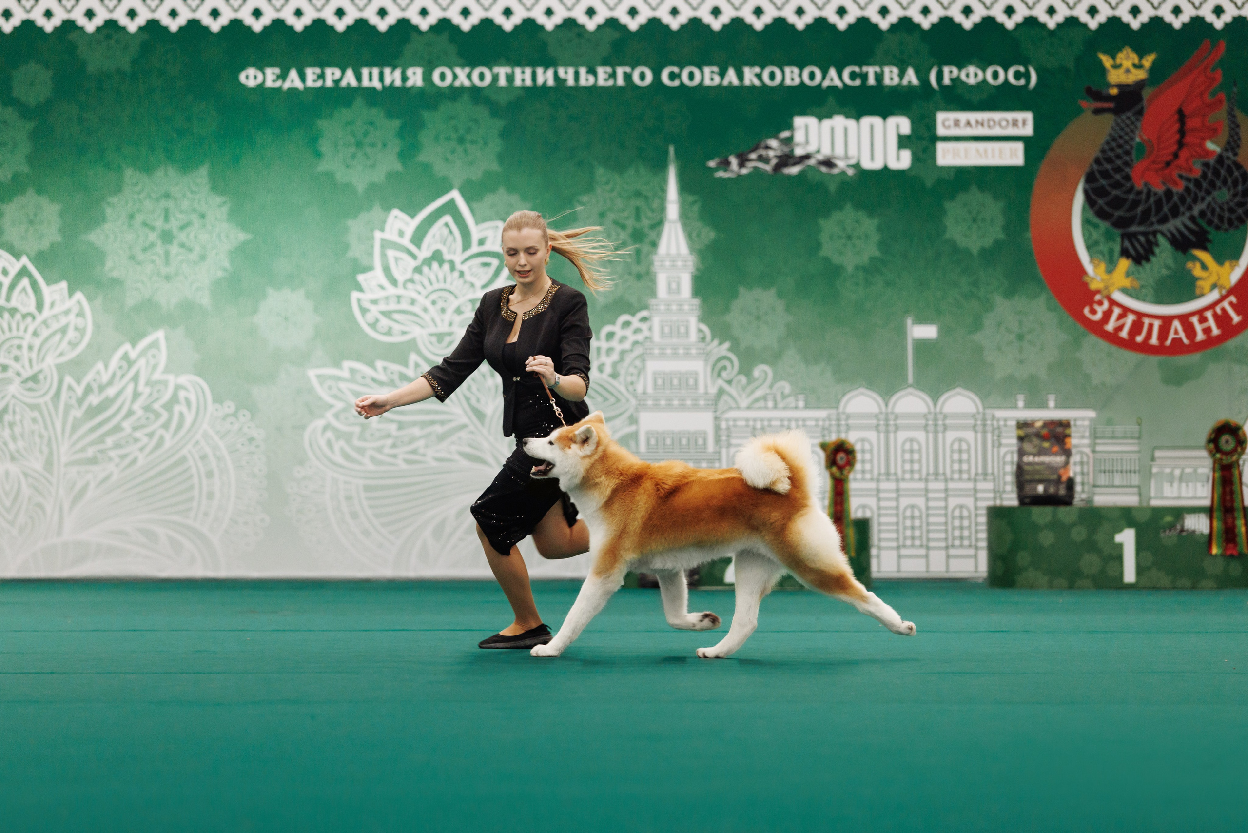 29-30.11.2025 — Казань «Зилант». Фотограф-анималист Саша Вязьмина