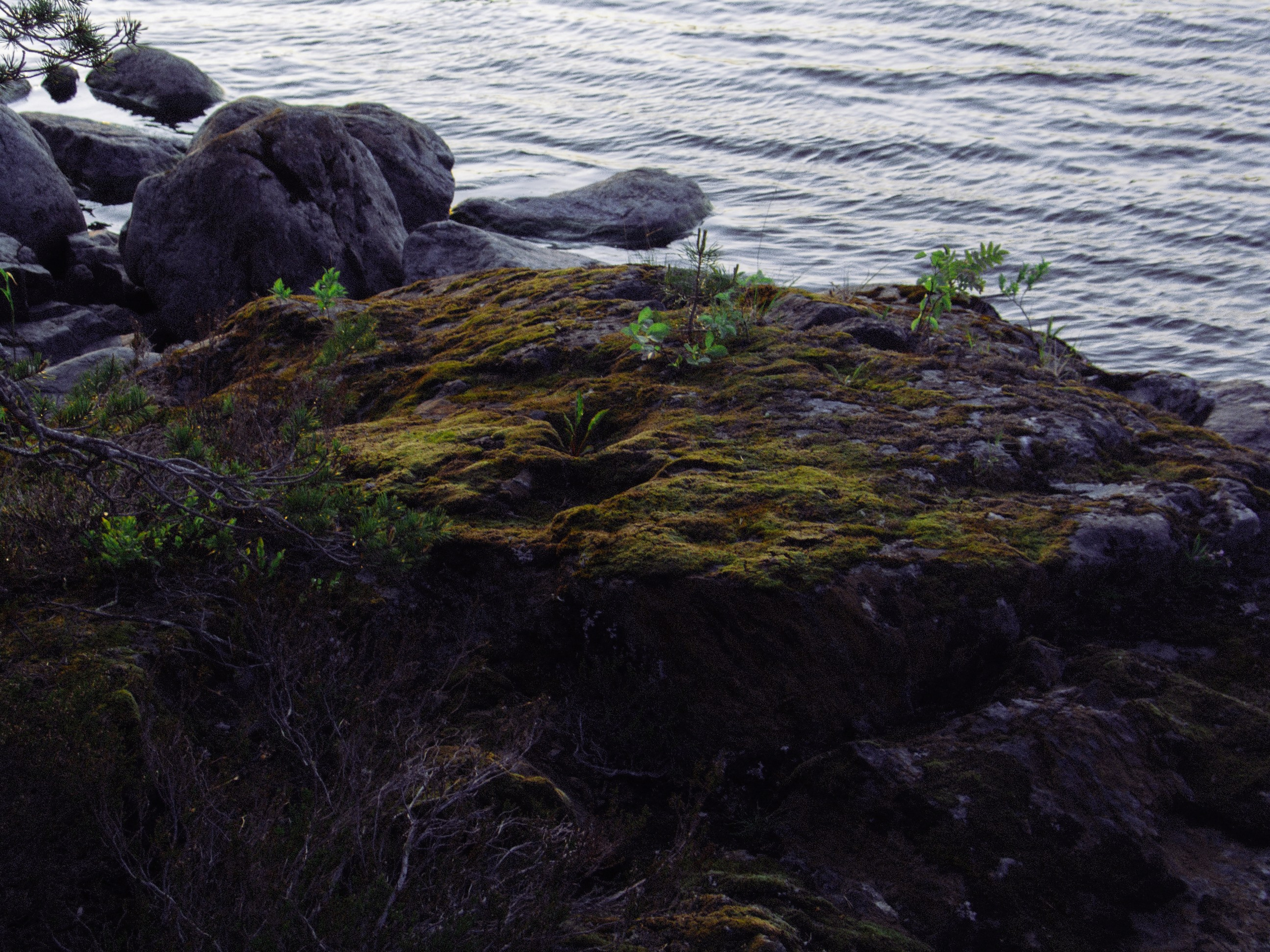 Ладожские шхеры | 2025