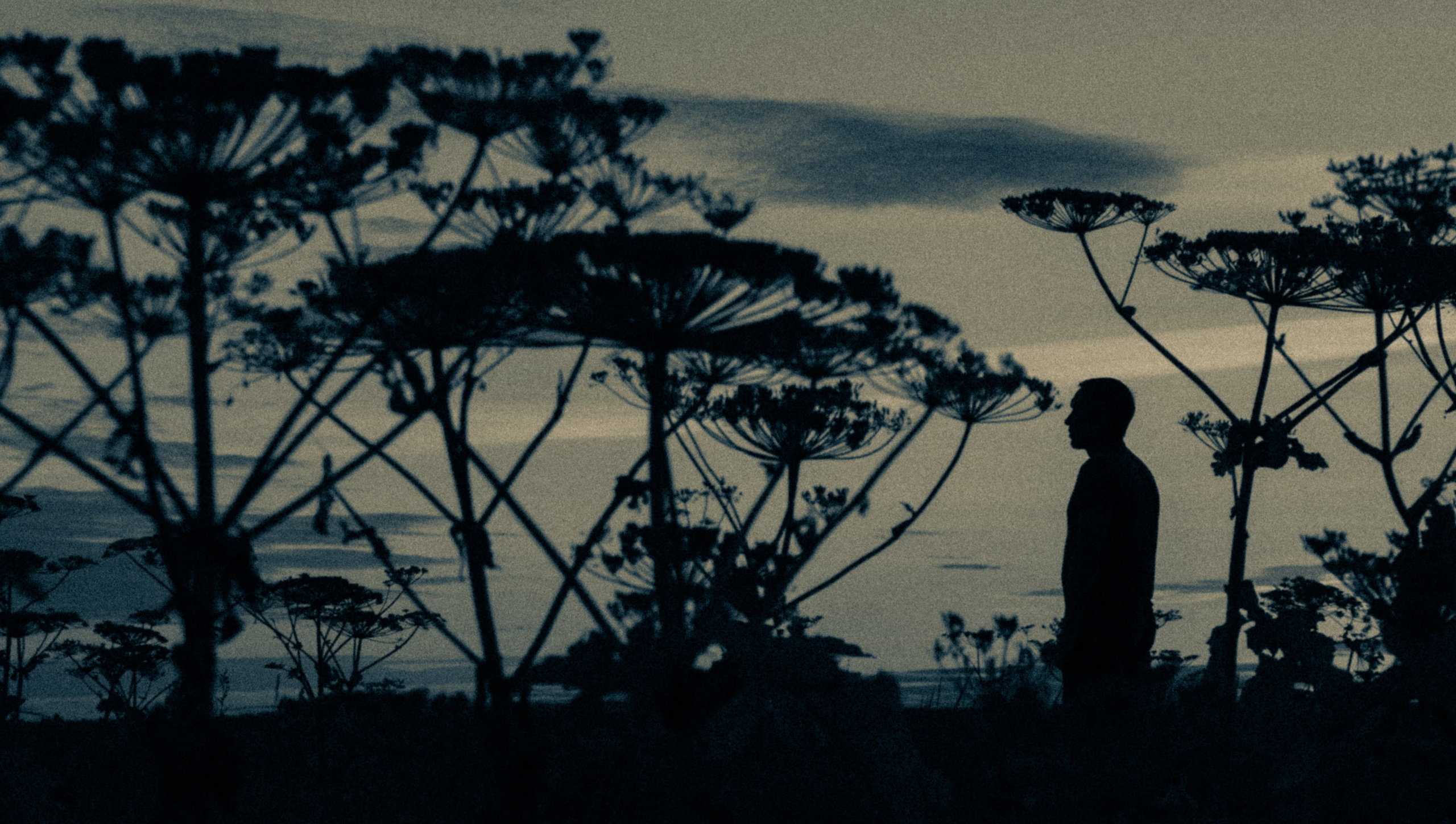 ПОРТРЕТ. Петербургский фотограф Елизавета Мордвина-Щодро