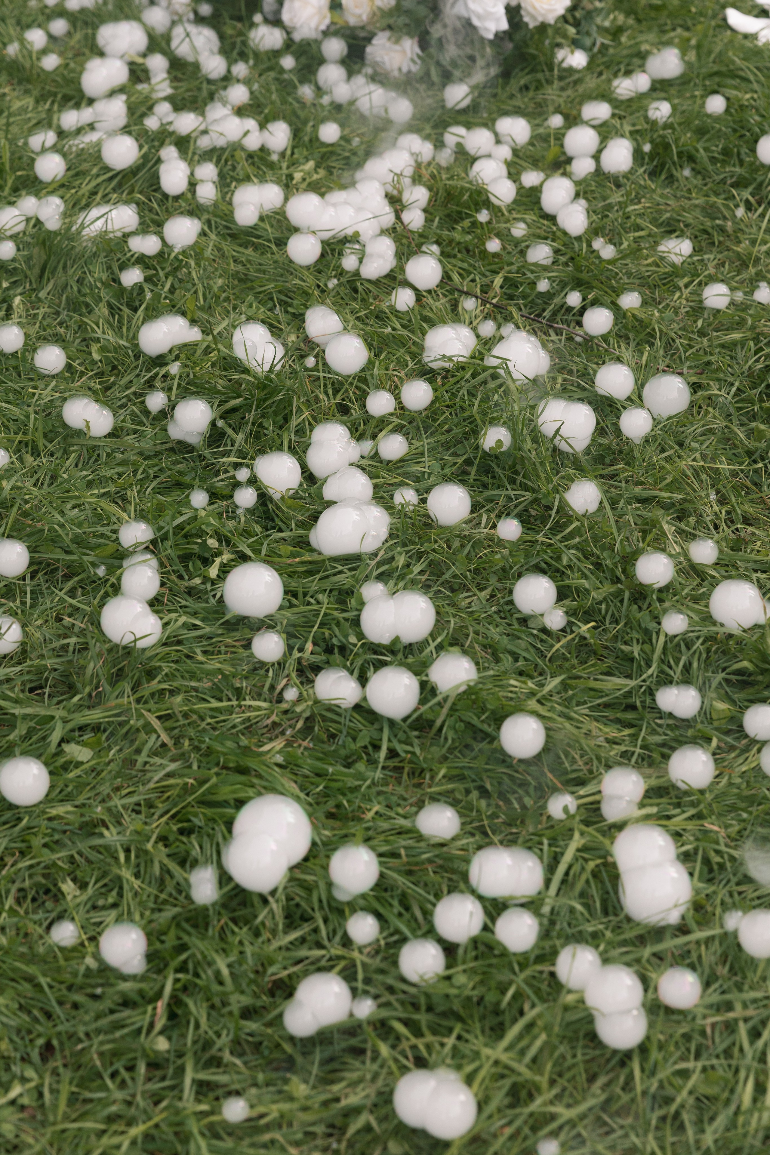 Гор и Дарья