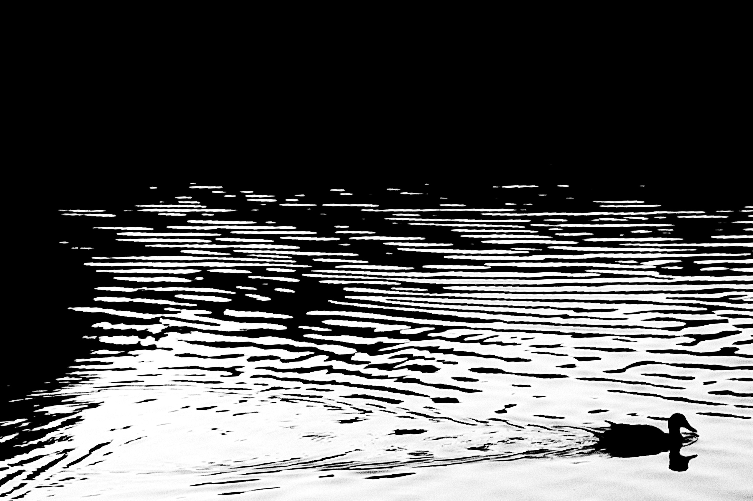 Самые черные фотографии. Артём Линейцев, фотограф