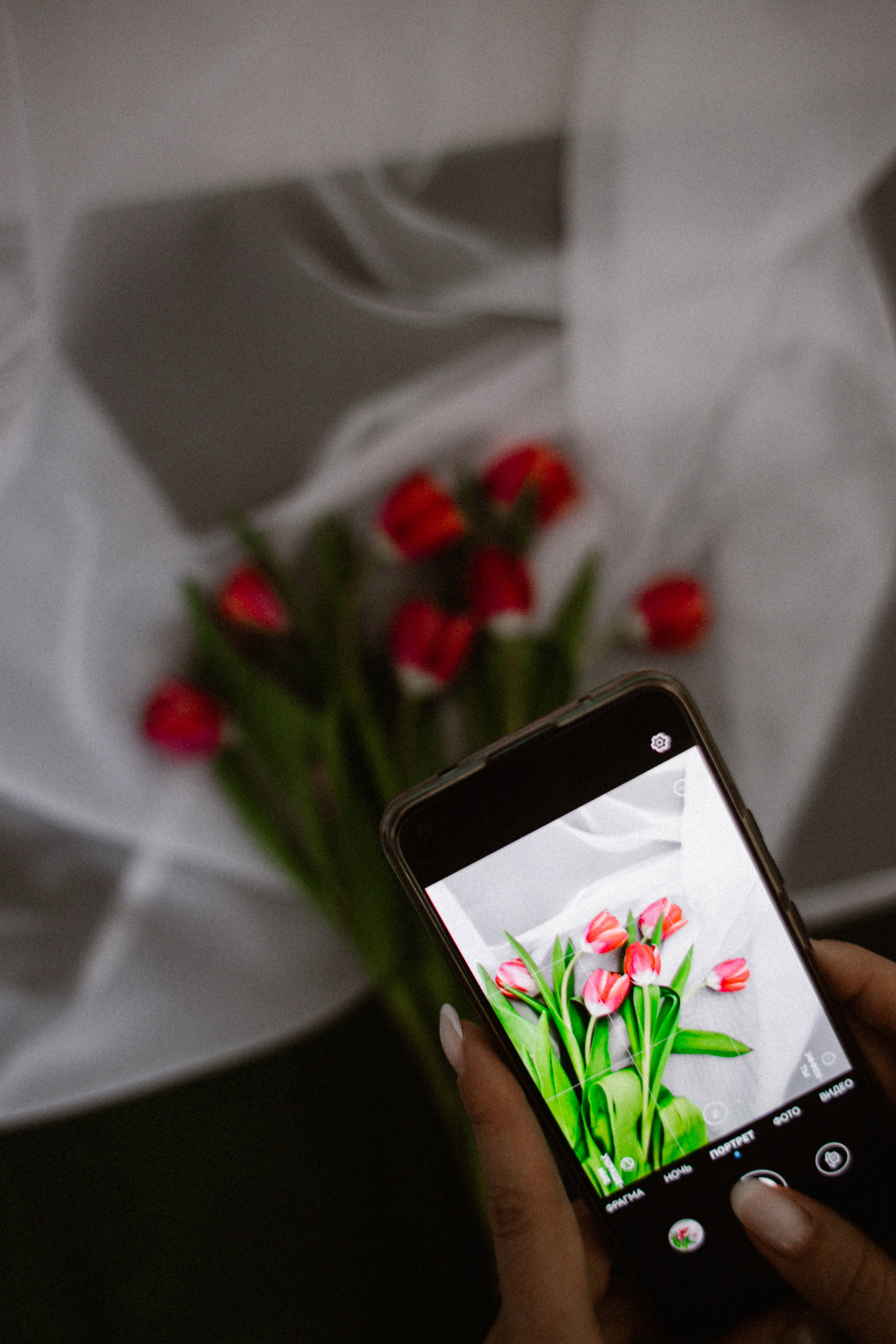 ДОМАшняя фотостудия. Фотограф в Нижнем Новгороде