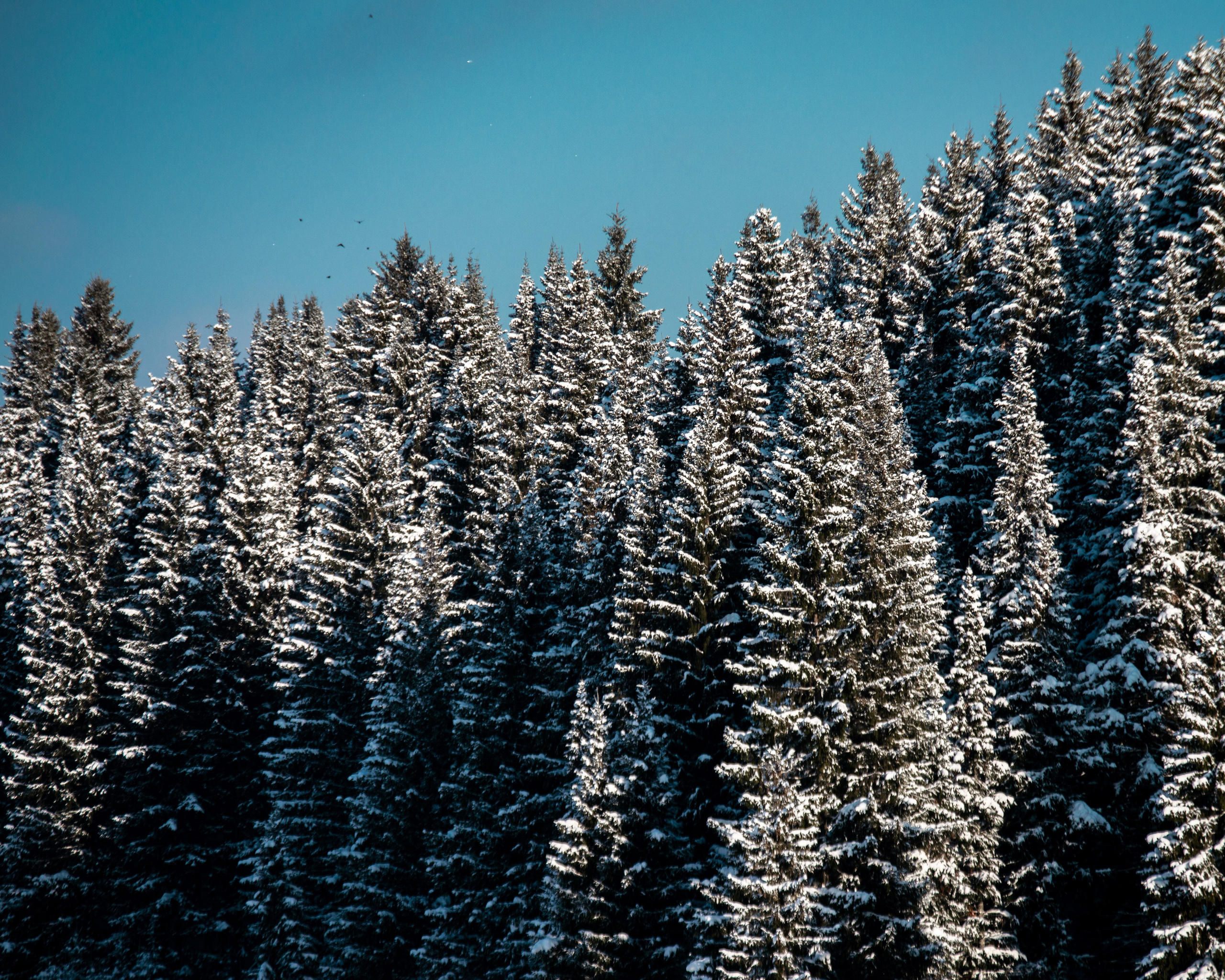 Эстетика еб{деревней}й. Место {не}банальных фото