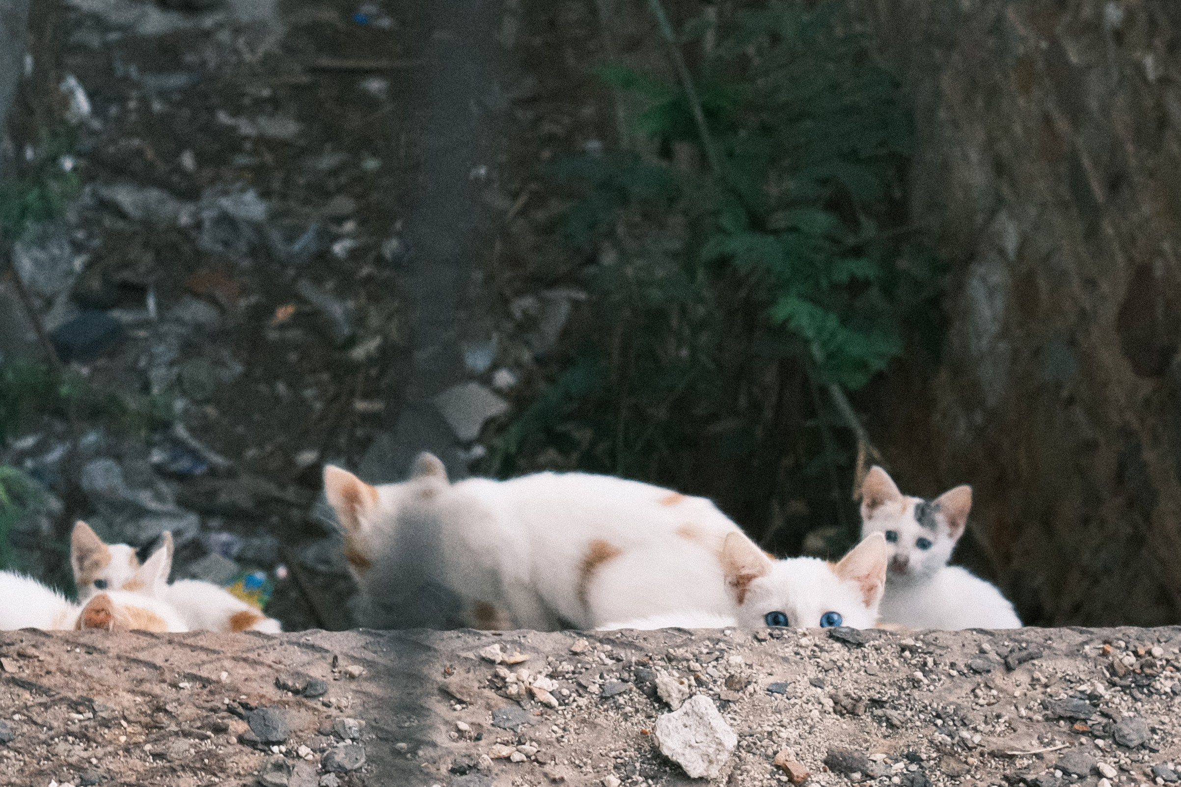 Фотографии Салоник | Филипп Линзин. Репортажный и портретный фотограф в Санкт-Петербурге Филипп Линзин