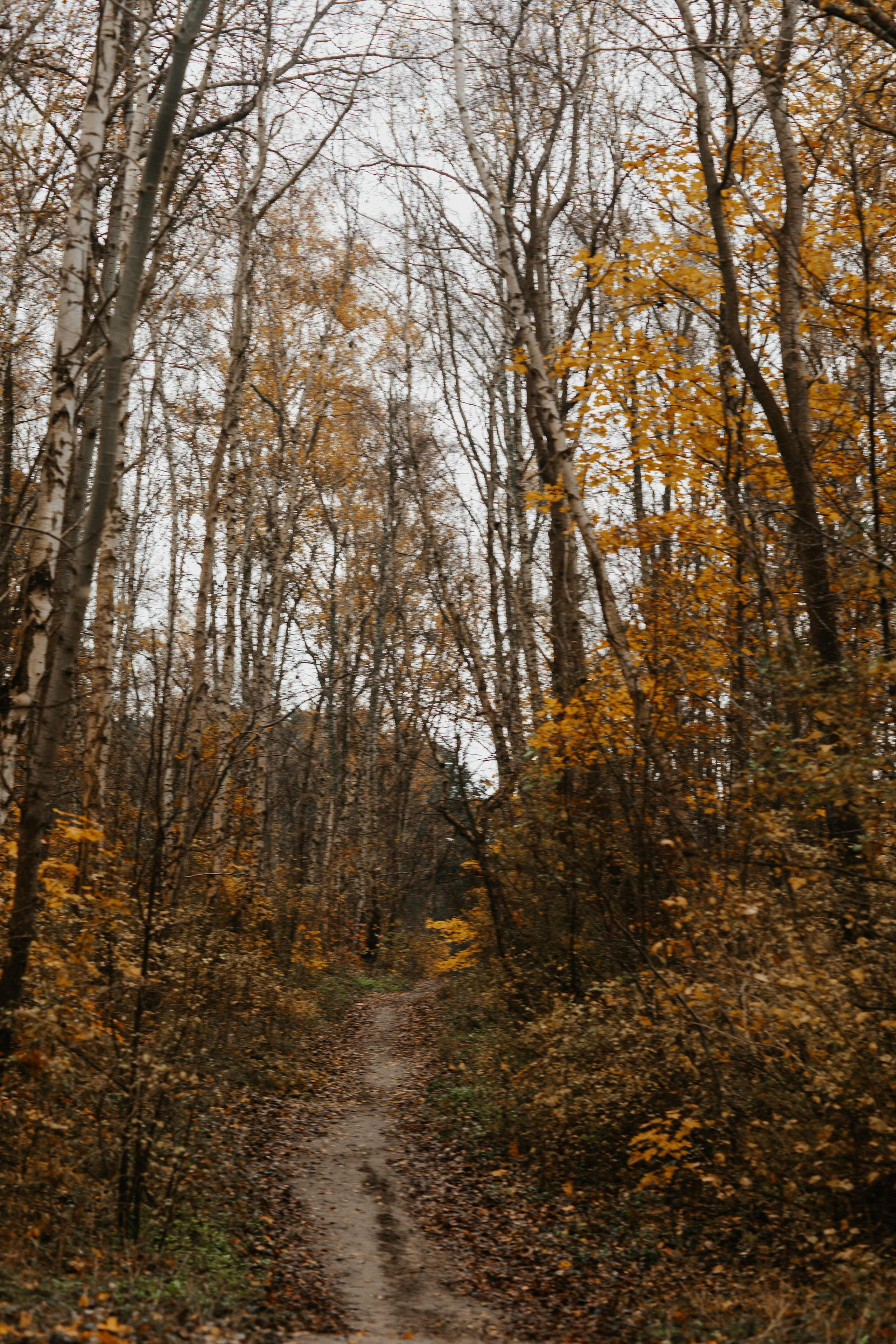 Фотосессия в Балтийске. Https://malovafoto.ru