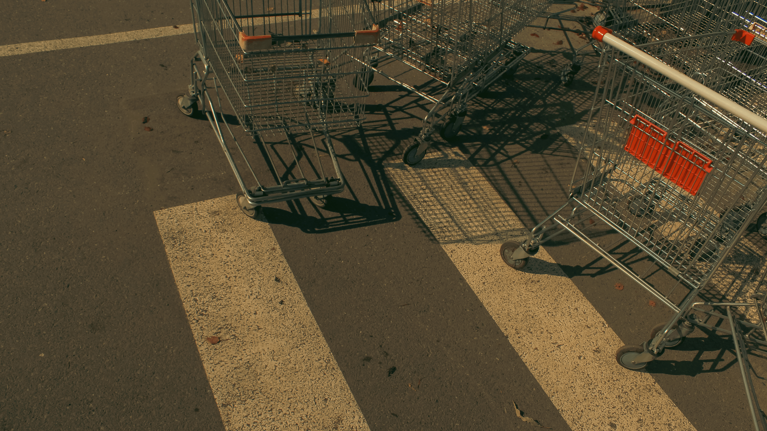 TMN ivapark '24. Фотограф/дизайнер в Екатеринбурге Хитрый Дмитрий