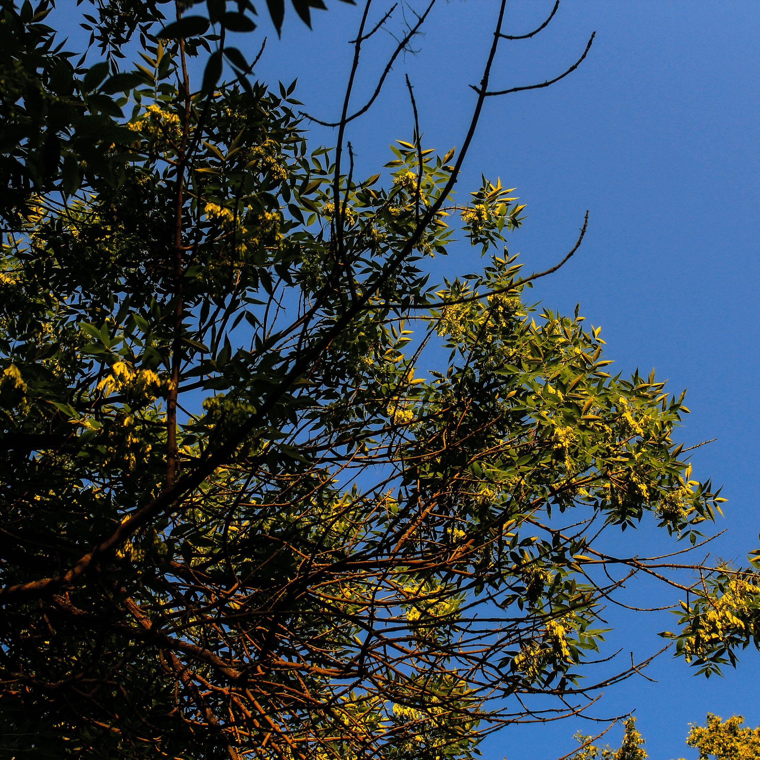 Summertime. Фотограф/дизайнер в Екатеринбурге Хитрый Дмитрий