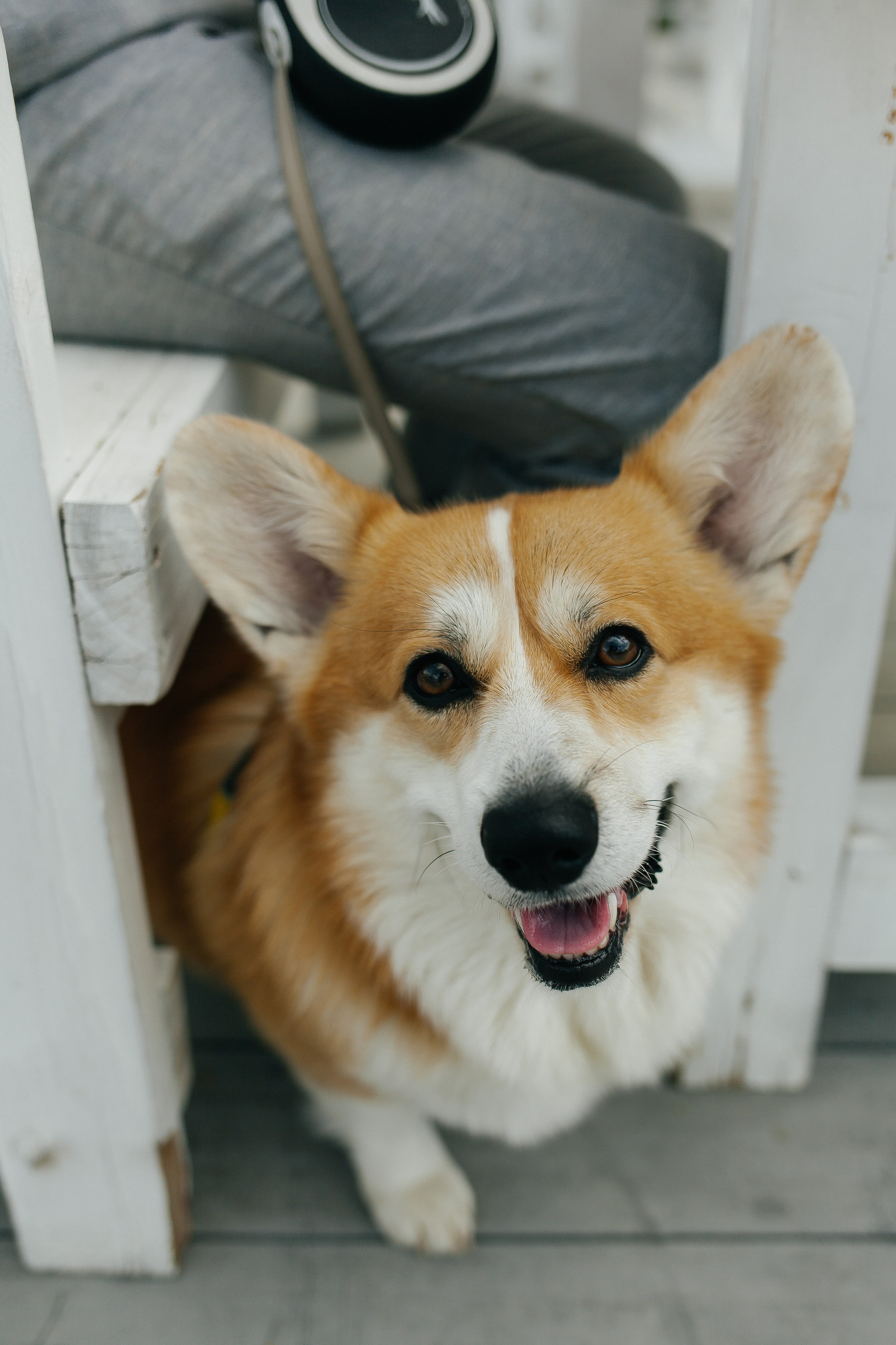 D & D. Фотограф Ольга Сапронова. Свадебный фотограф Ольга Сапронова